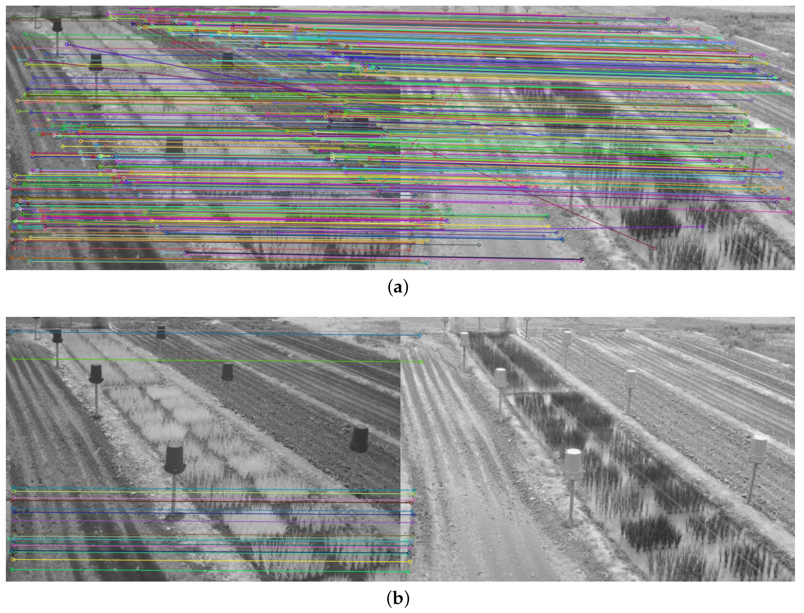 Plants 10 01791 g004