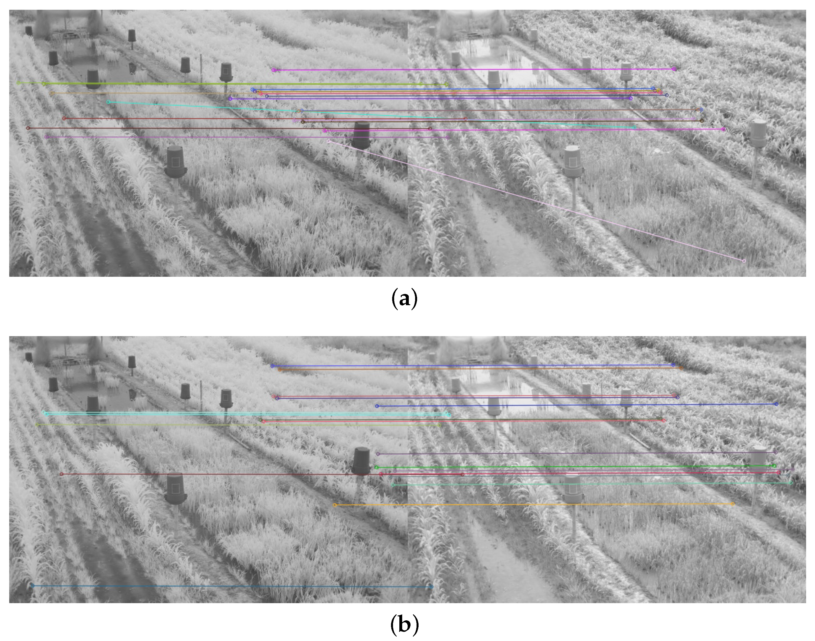 Plants 10 01791 g009