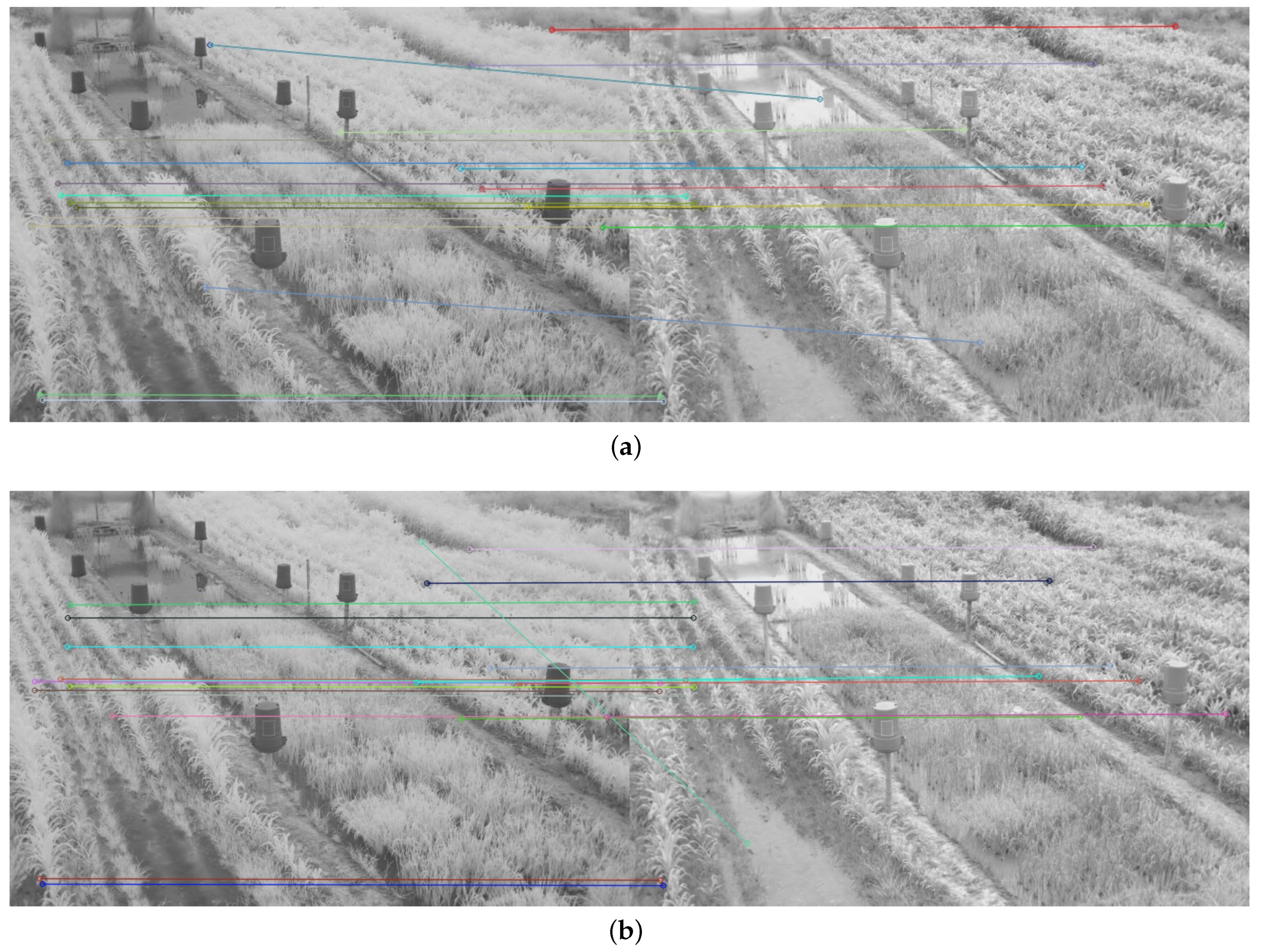 Plants 10 01791 g010