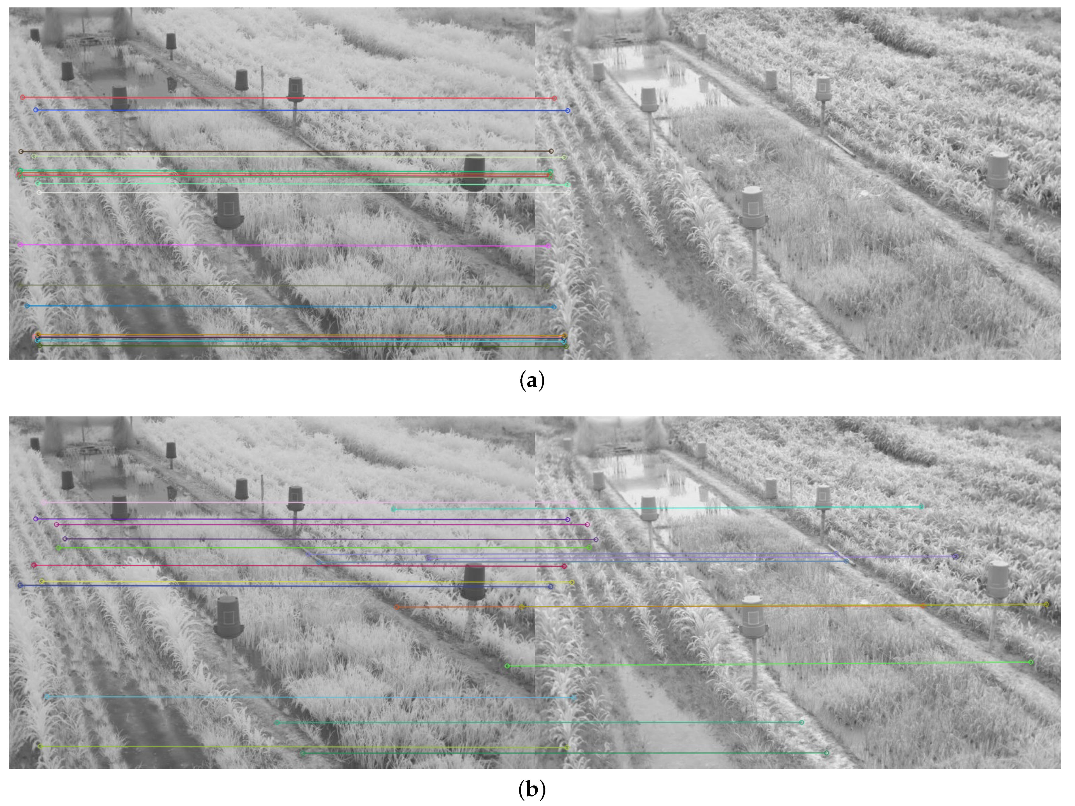 Plants 10 01791 g011