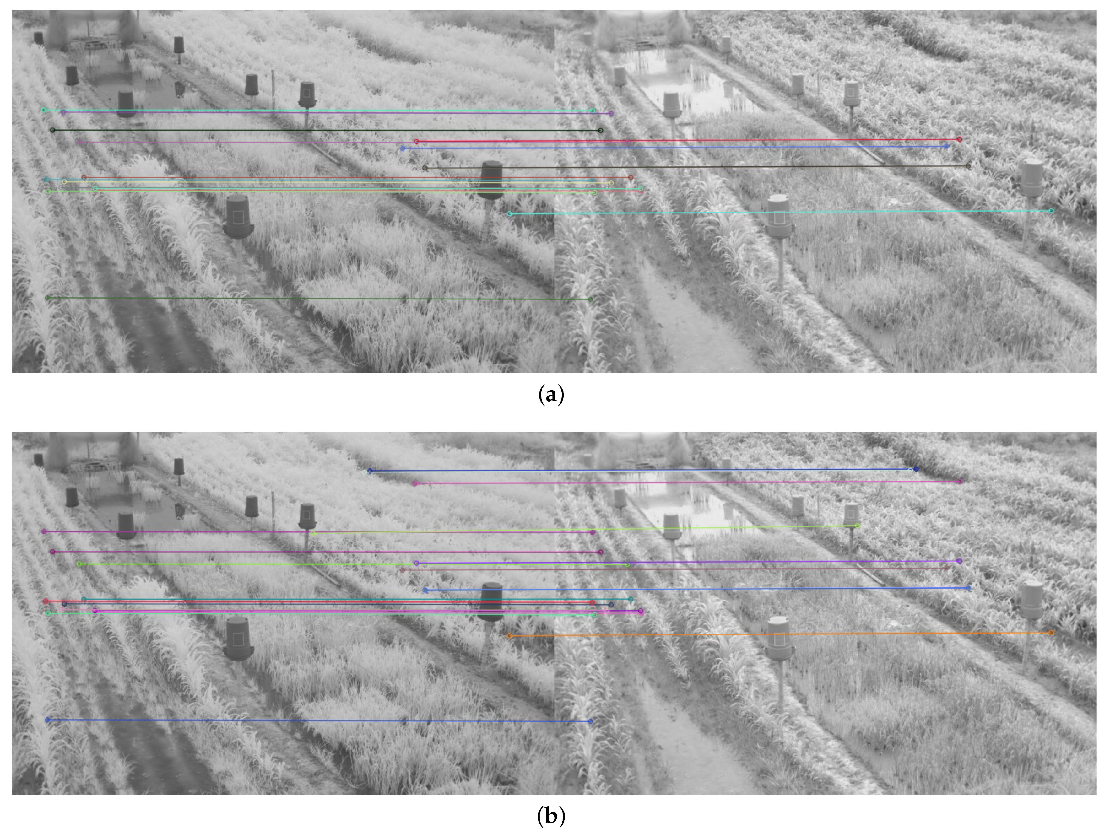 Plants 10 01791 g016