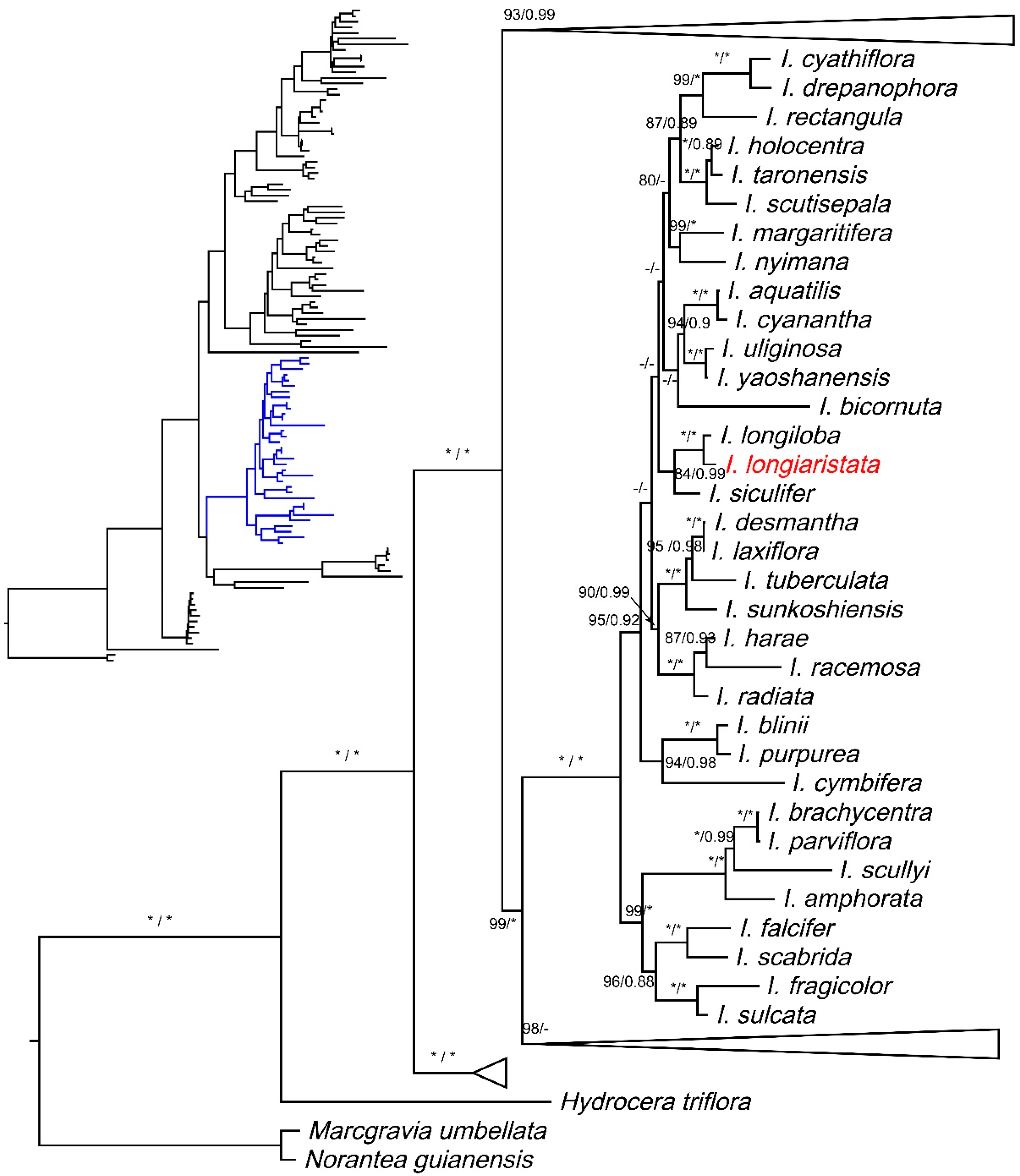 Plants 10 01812 g002