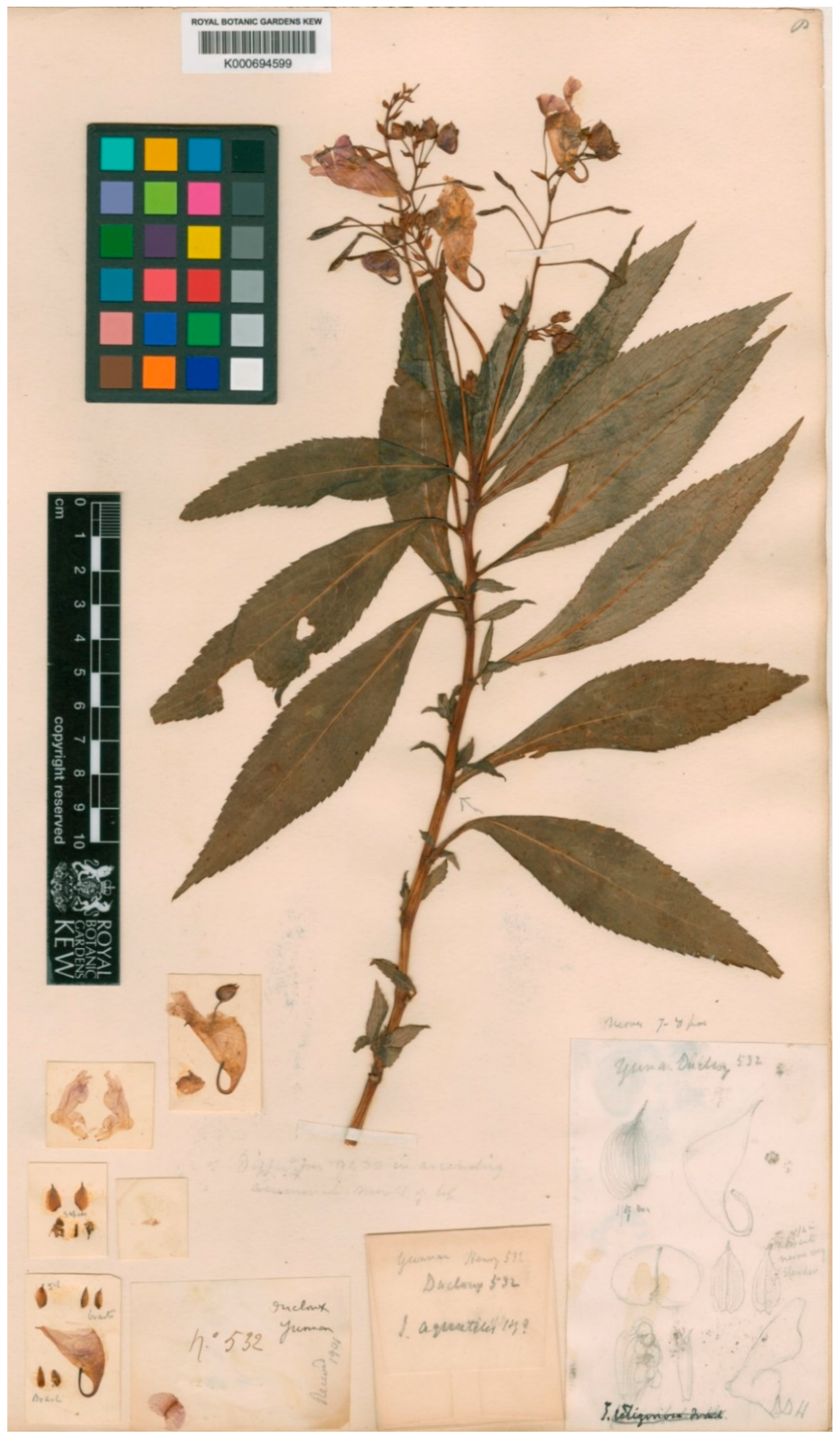 Plants 10 01812 g003