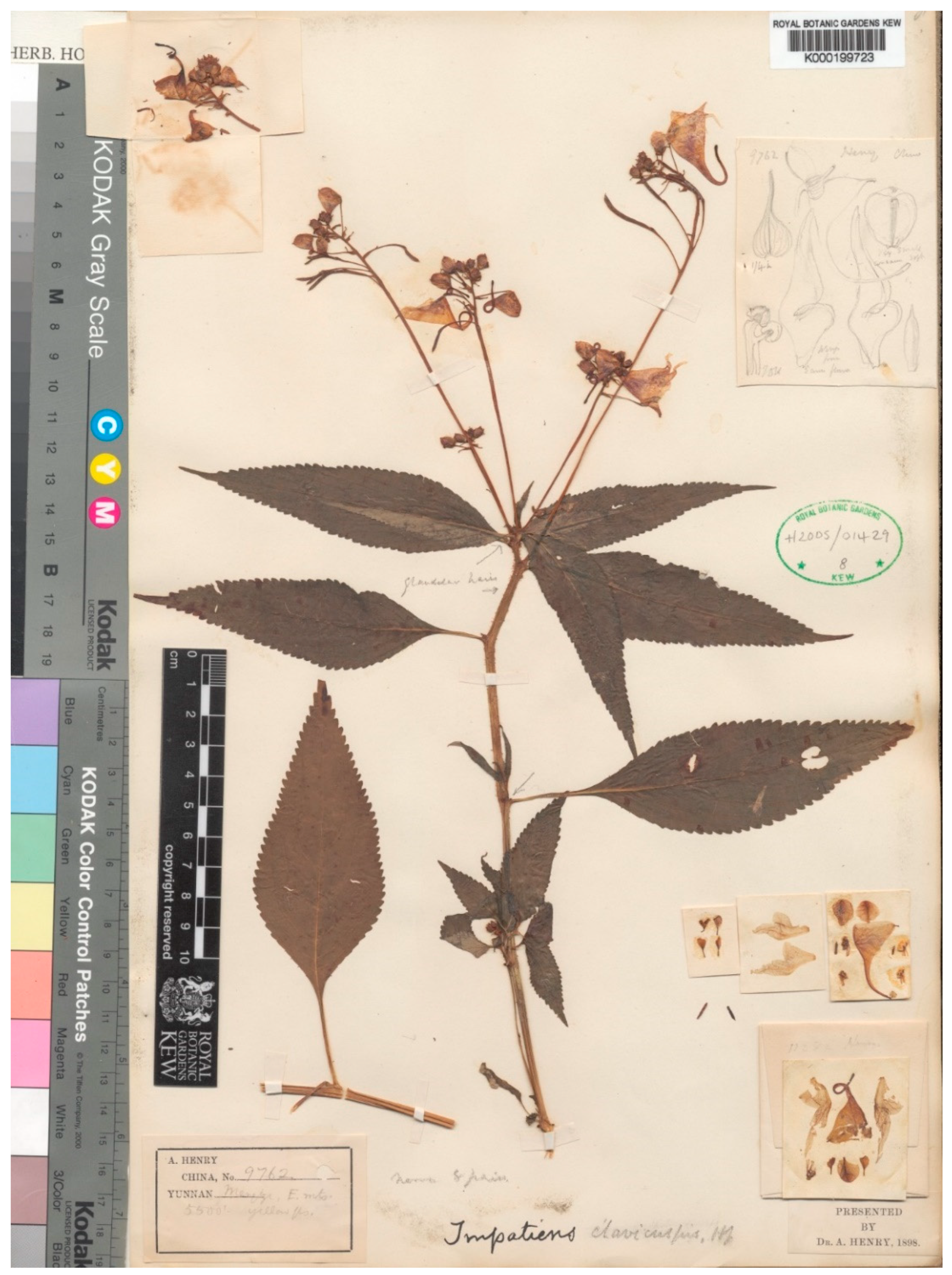 Plants 10 01812 g004