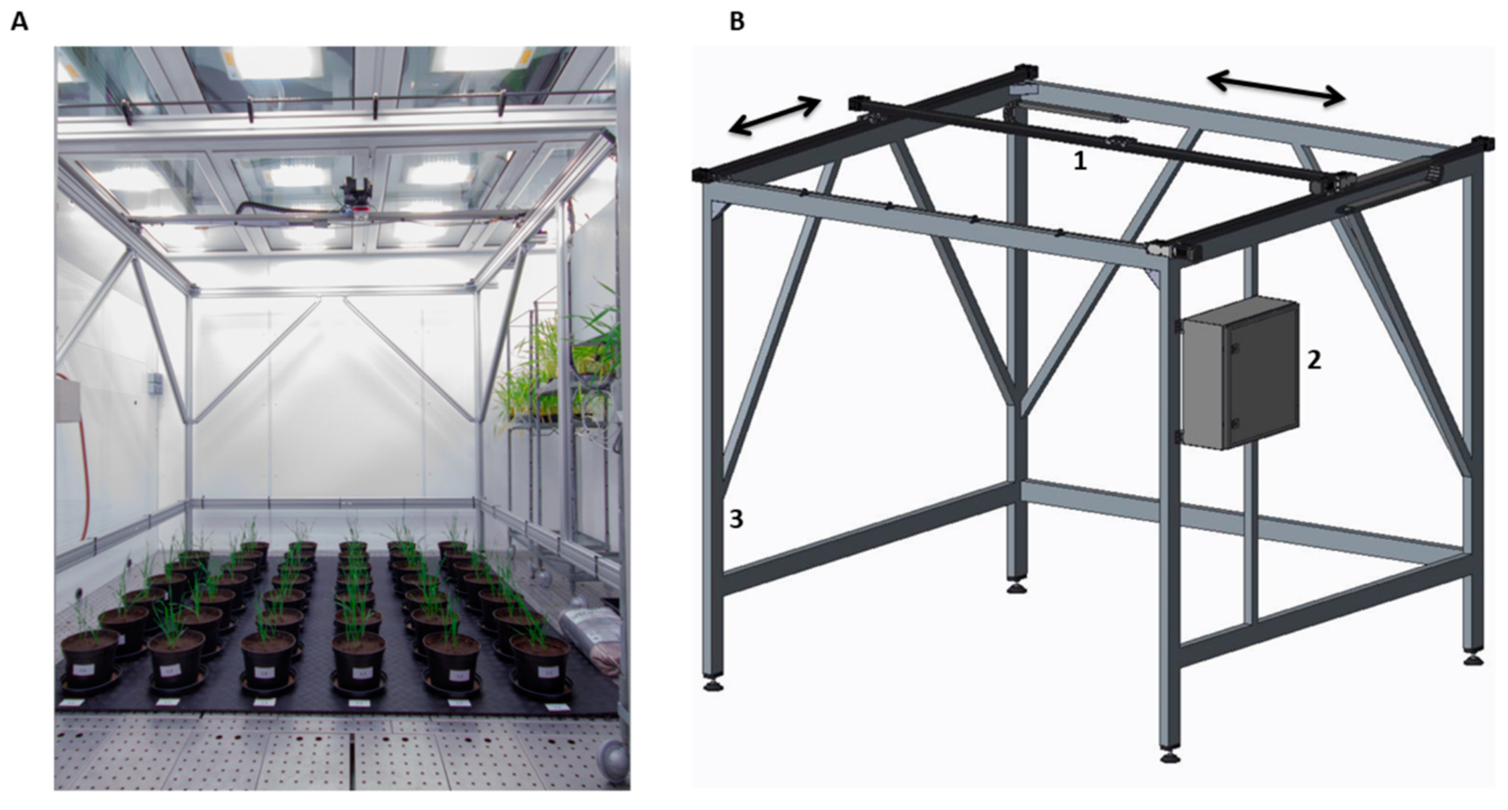 Plants 10 01817 g001