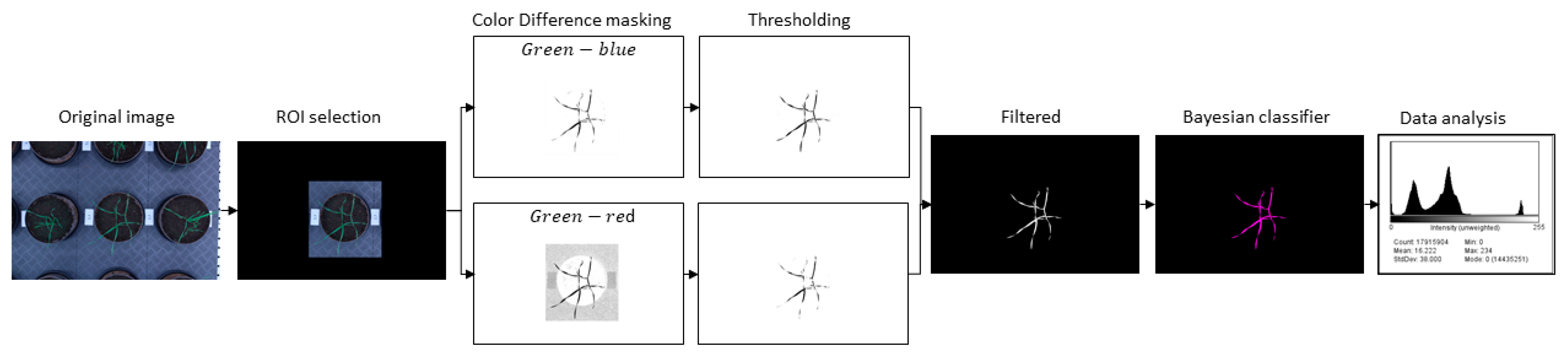 Plants 10 01817 g002