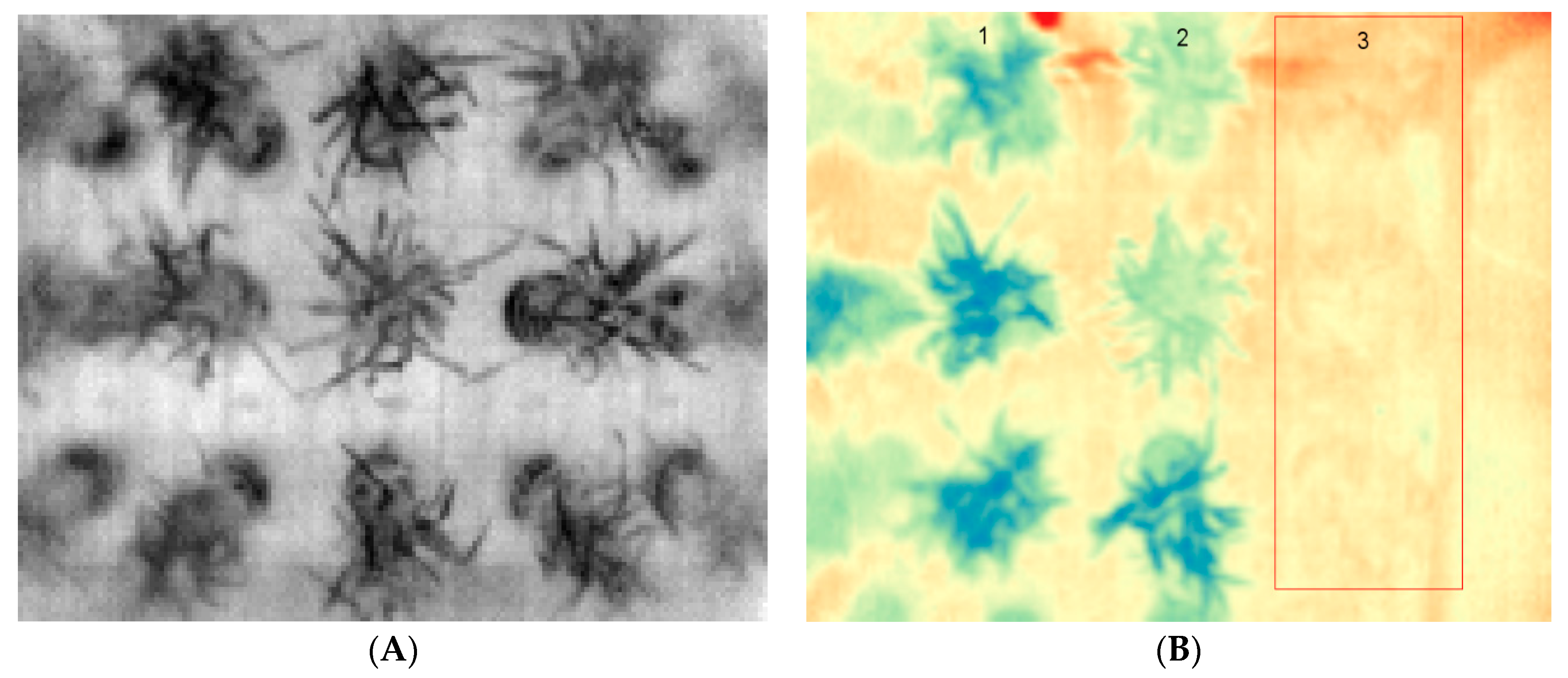 Plants 10 01817 g003