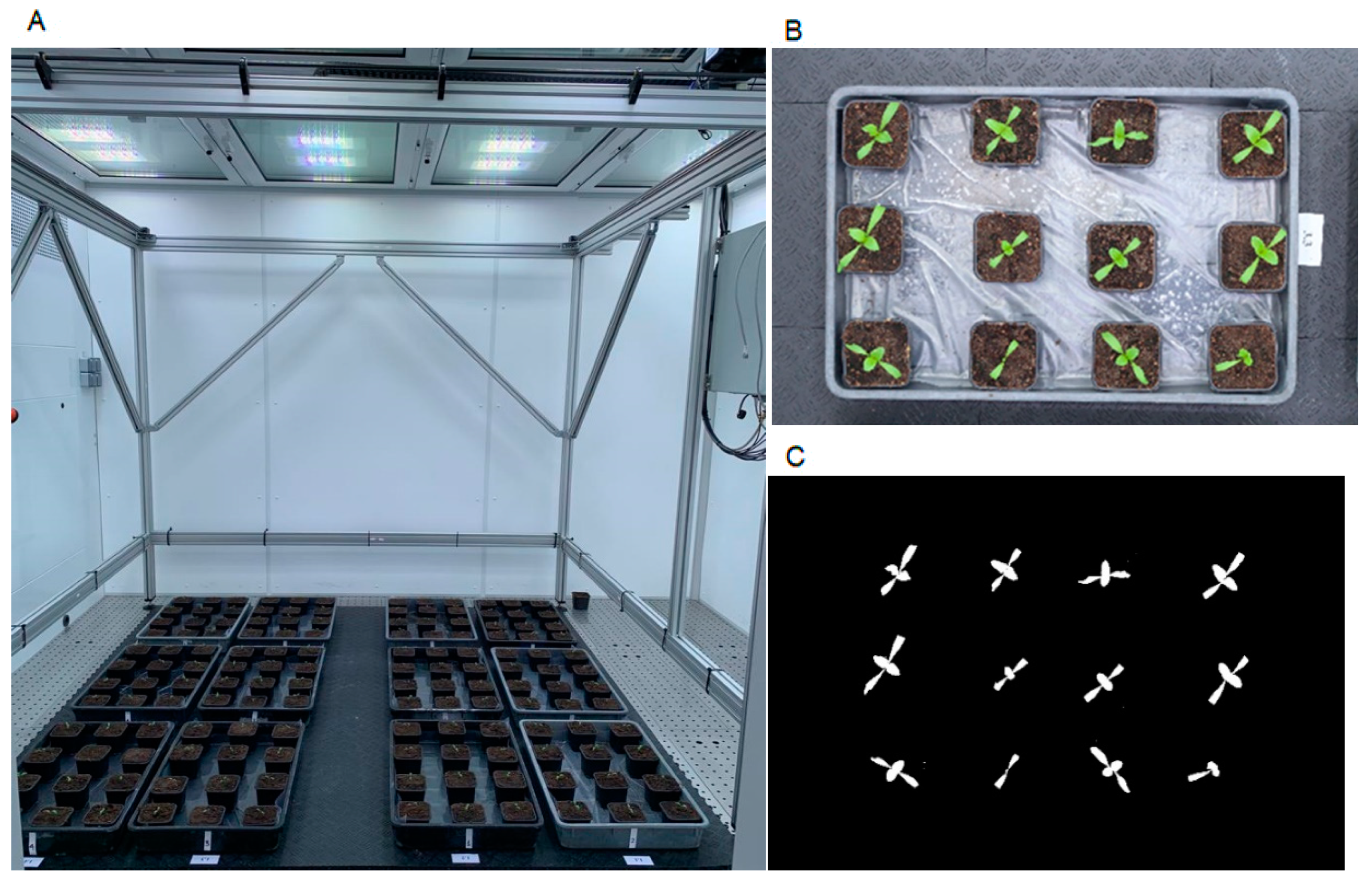 Plants 10 01817 g009