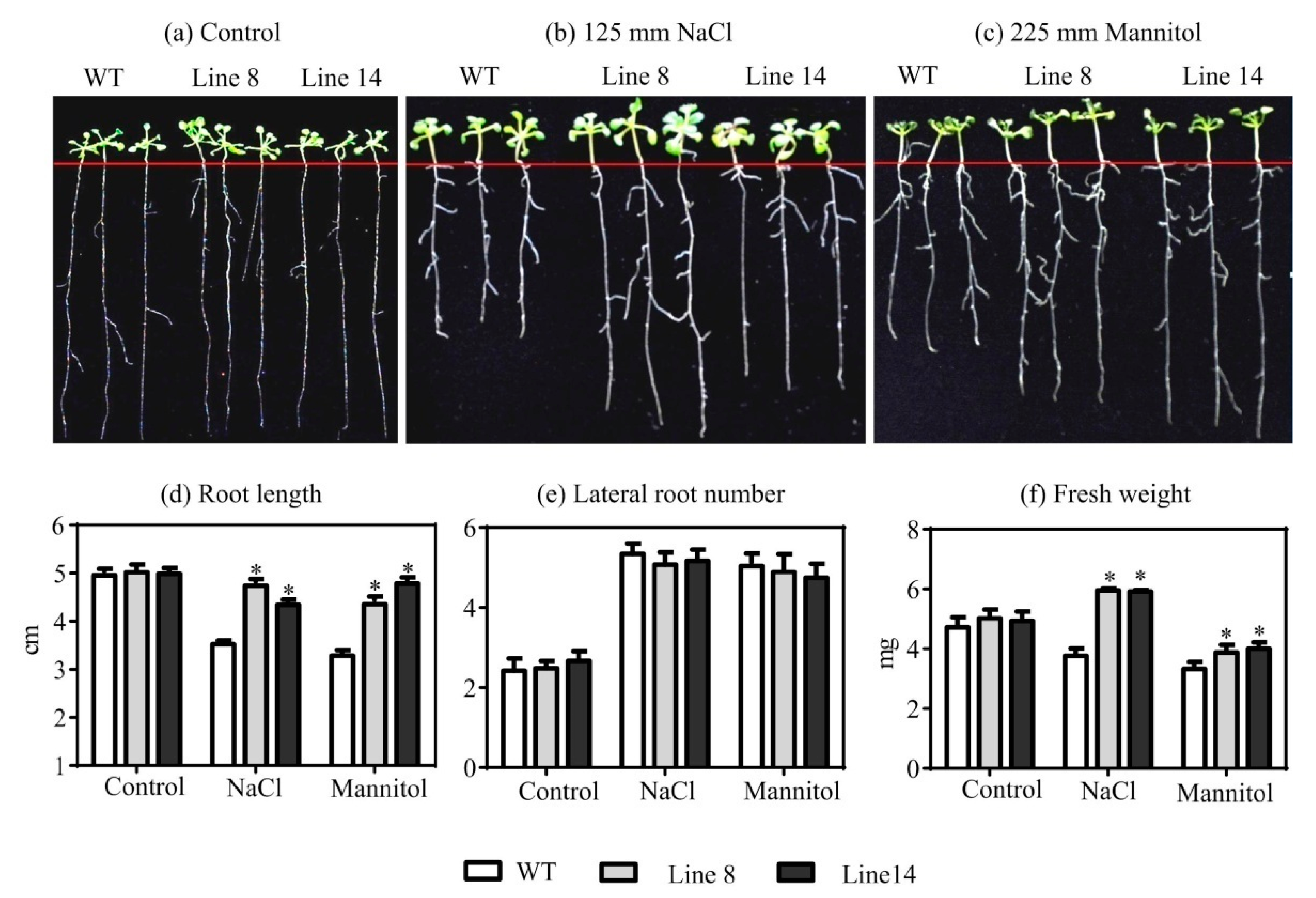 Plants 10 01827 g003