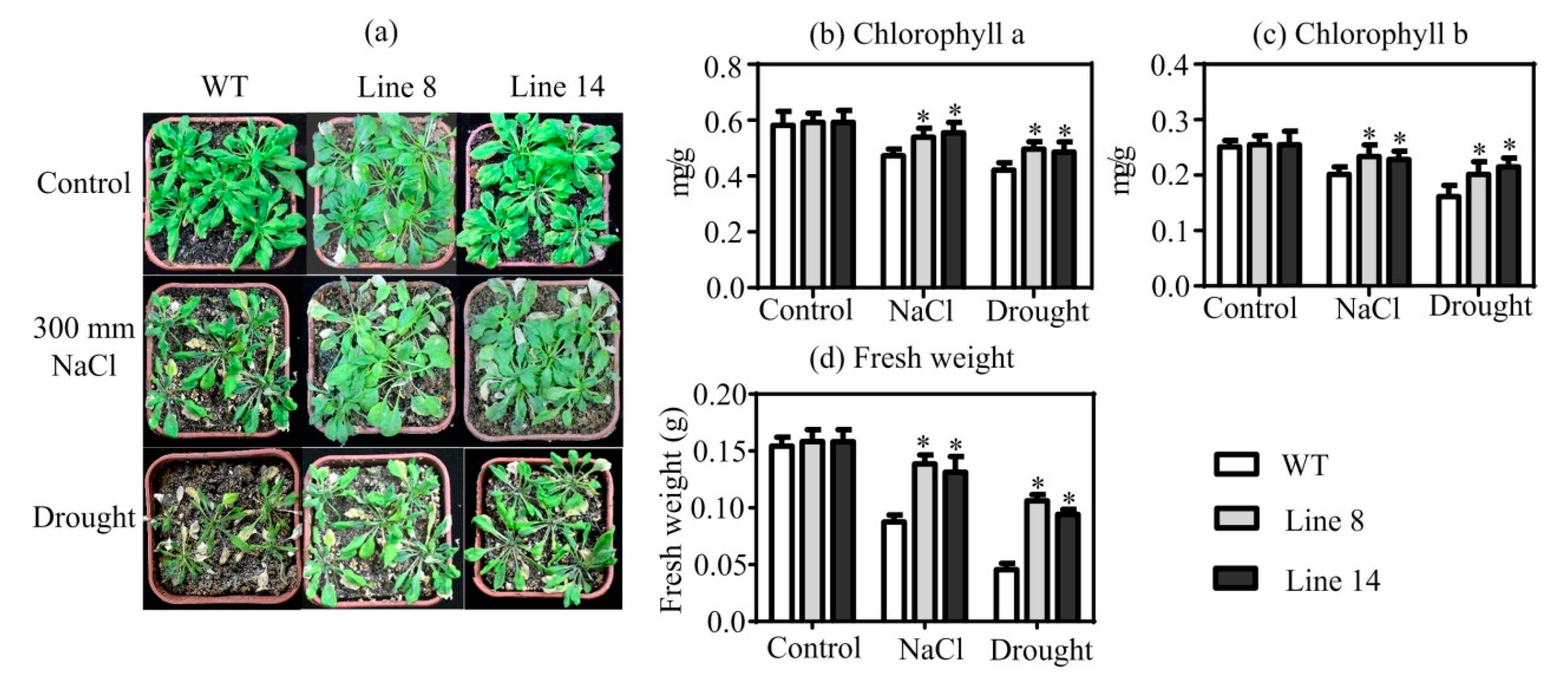 Plants 10 01827 g004