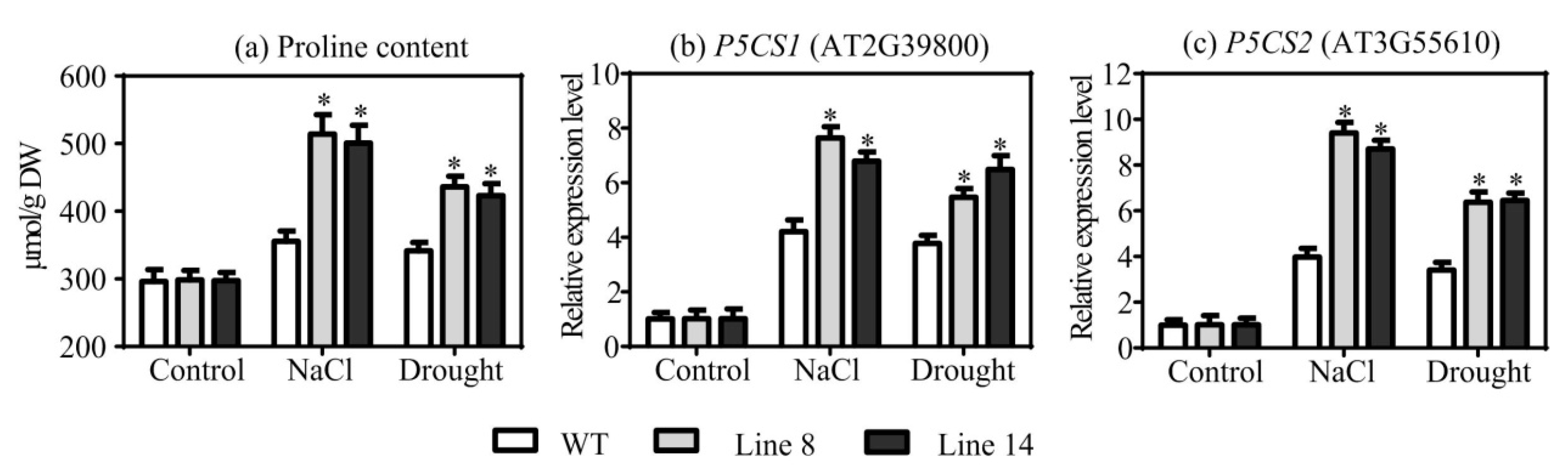 Plants 10 01827 g006