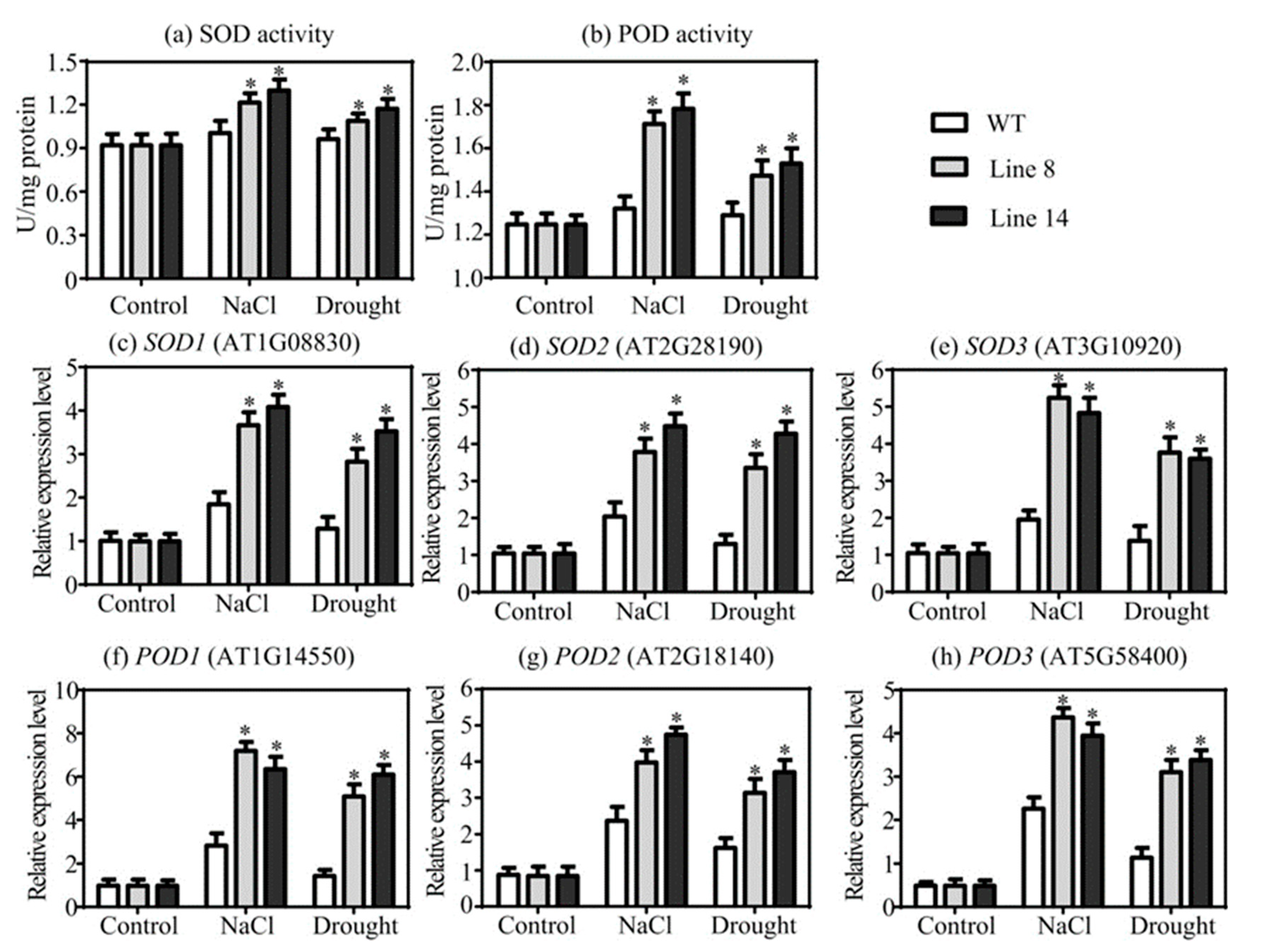 Plants 10 01827 g007
