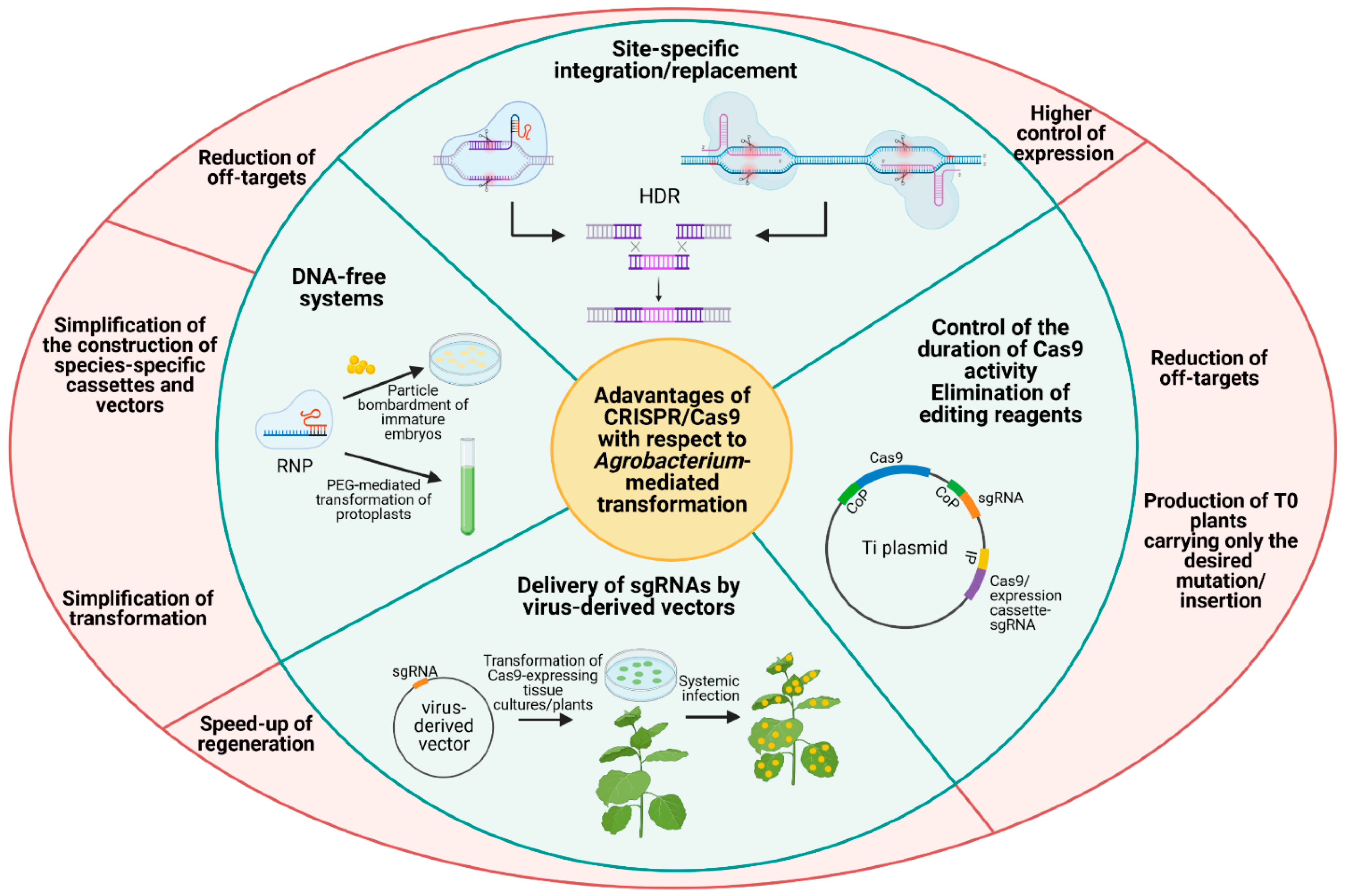 Plants 10 01828 g001 550