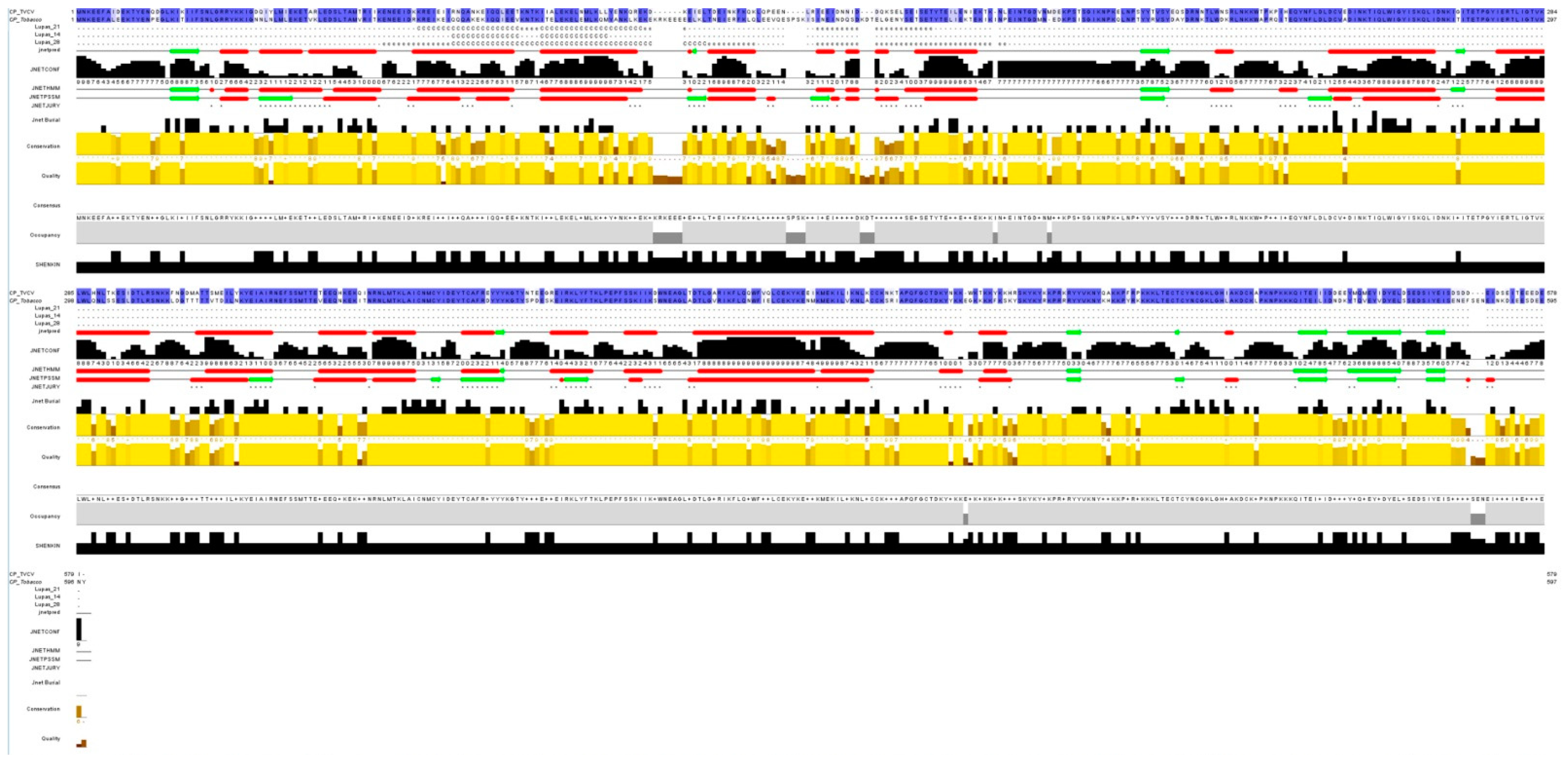 Plants 10 01828 g003 550