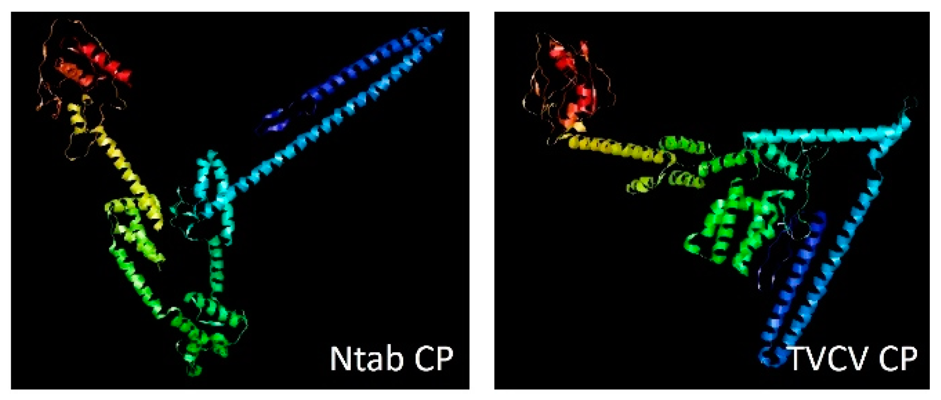 Plants 10 01828 g004 550