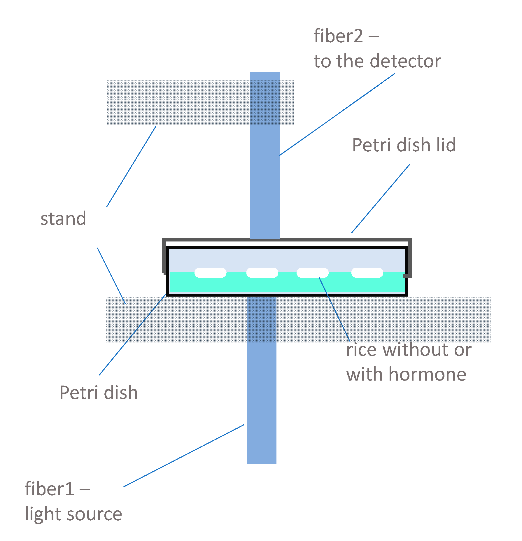 Plants 10 01832 g007