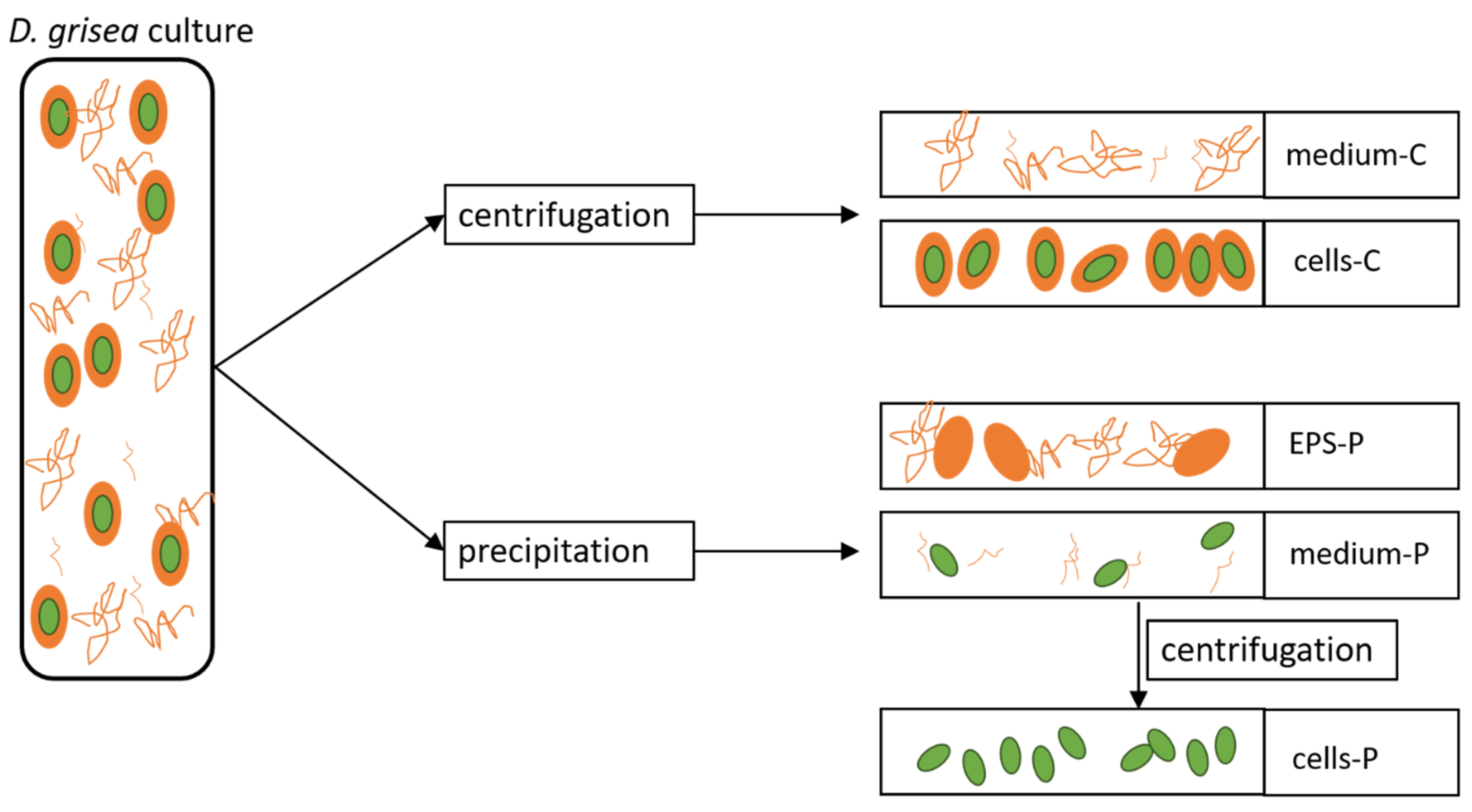 Plants 10 01836 g001