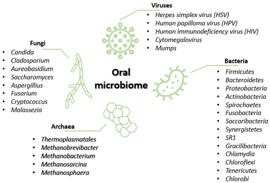 vaccino uomo papilloma virus