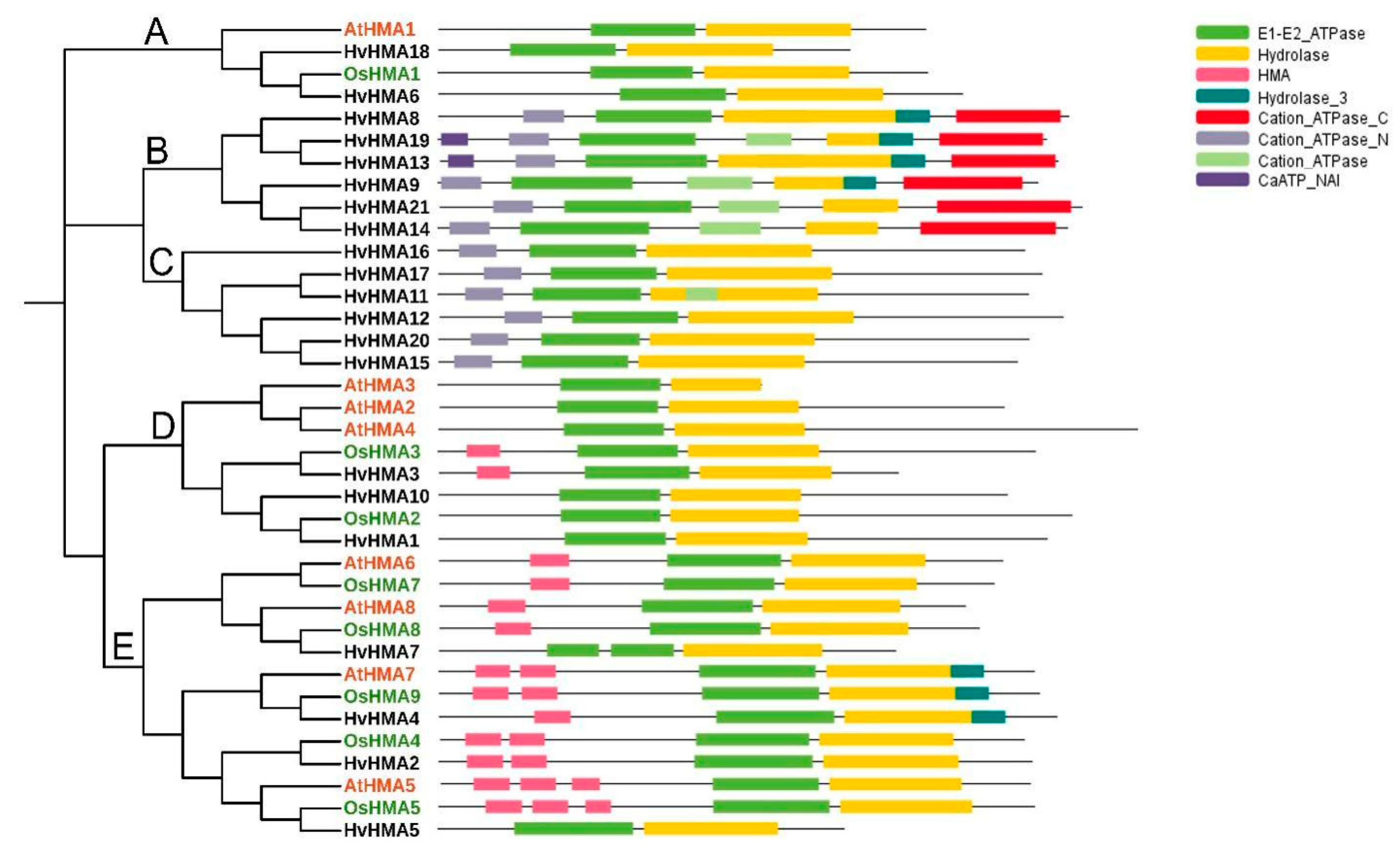 Plants 10 01849 g001