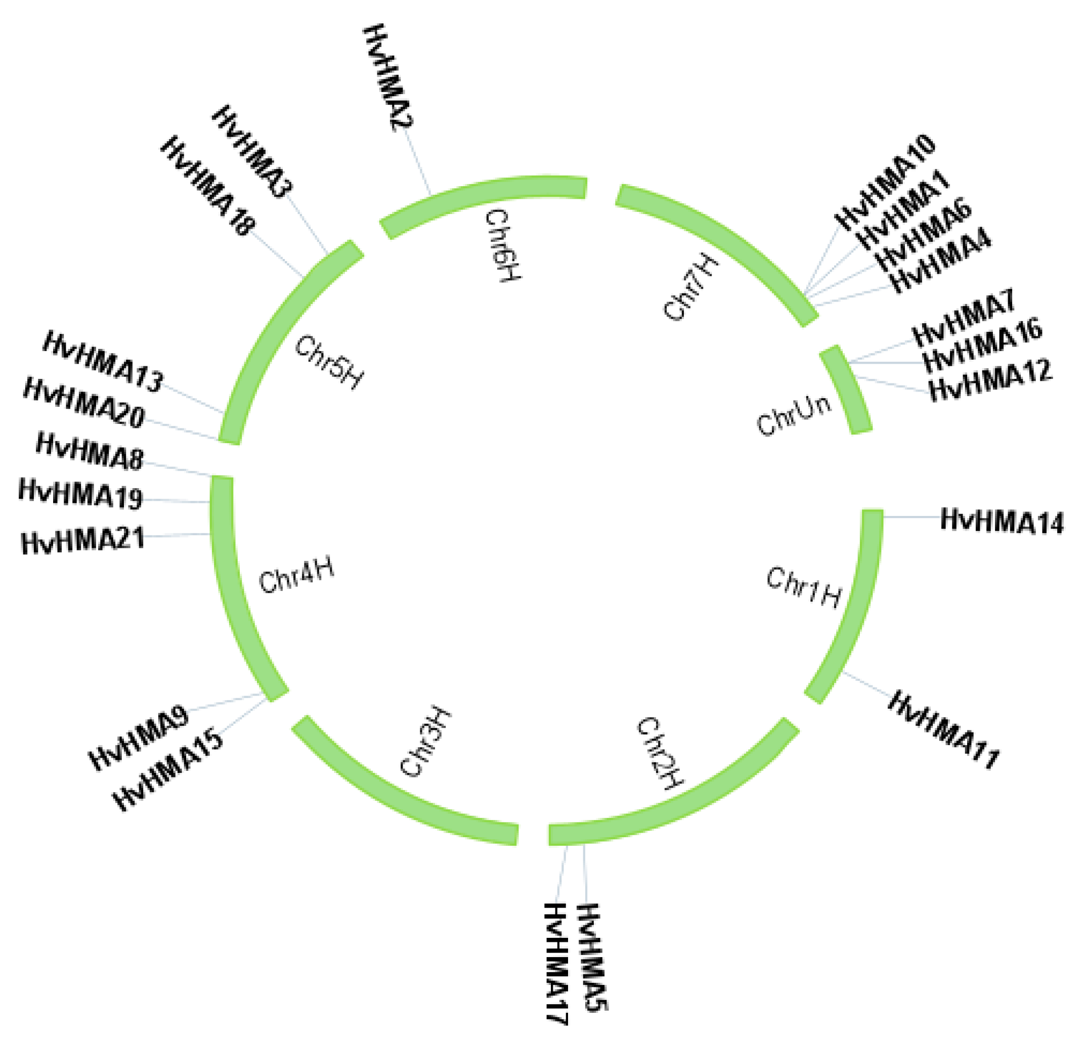 Plants 10 01849 g002