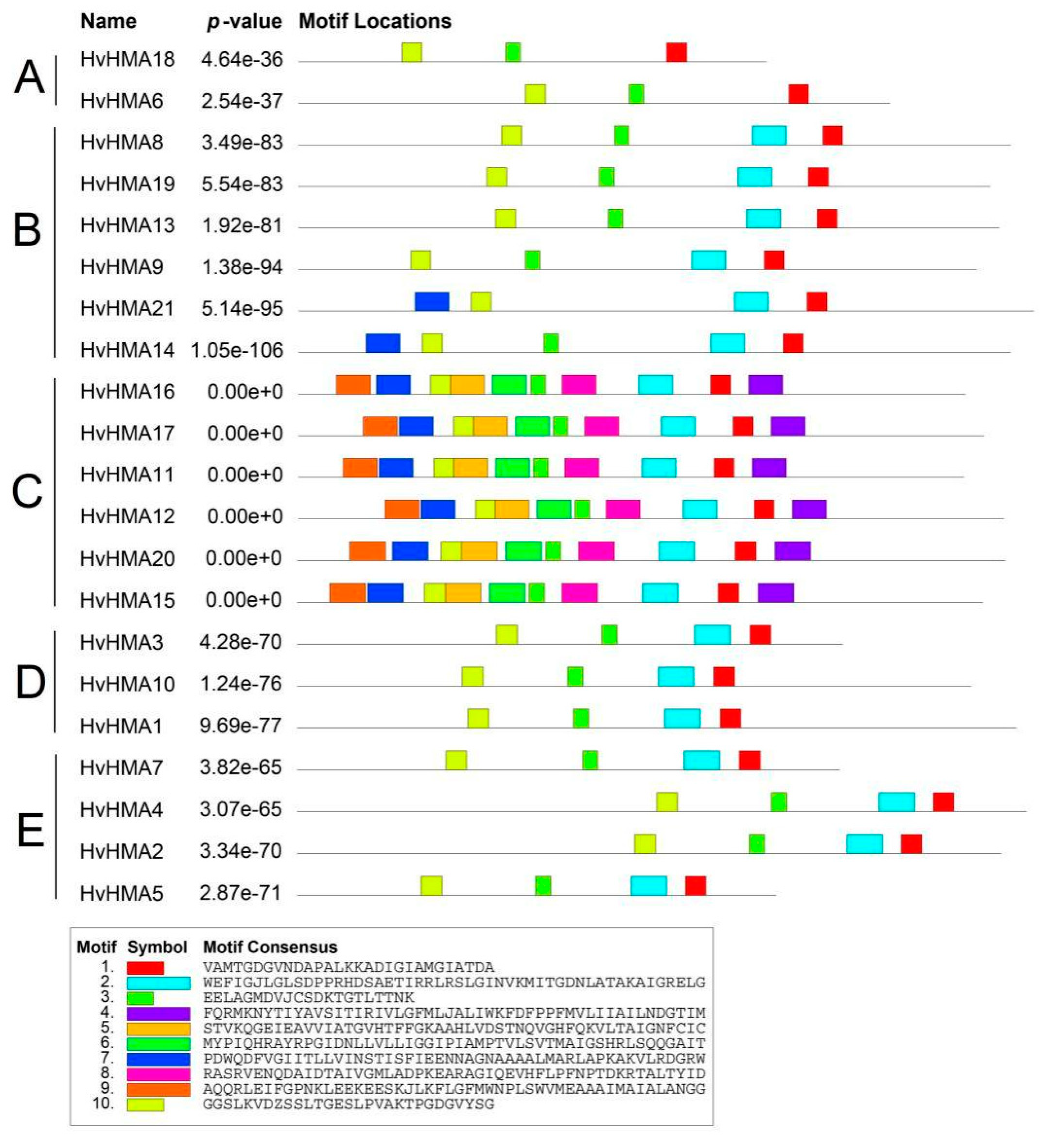 Plants 10 01849 g003