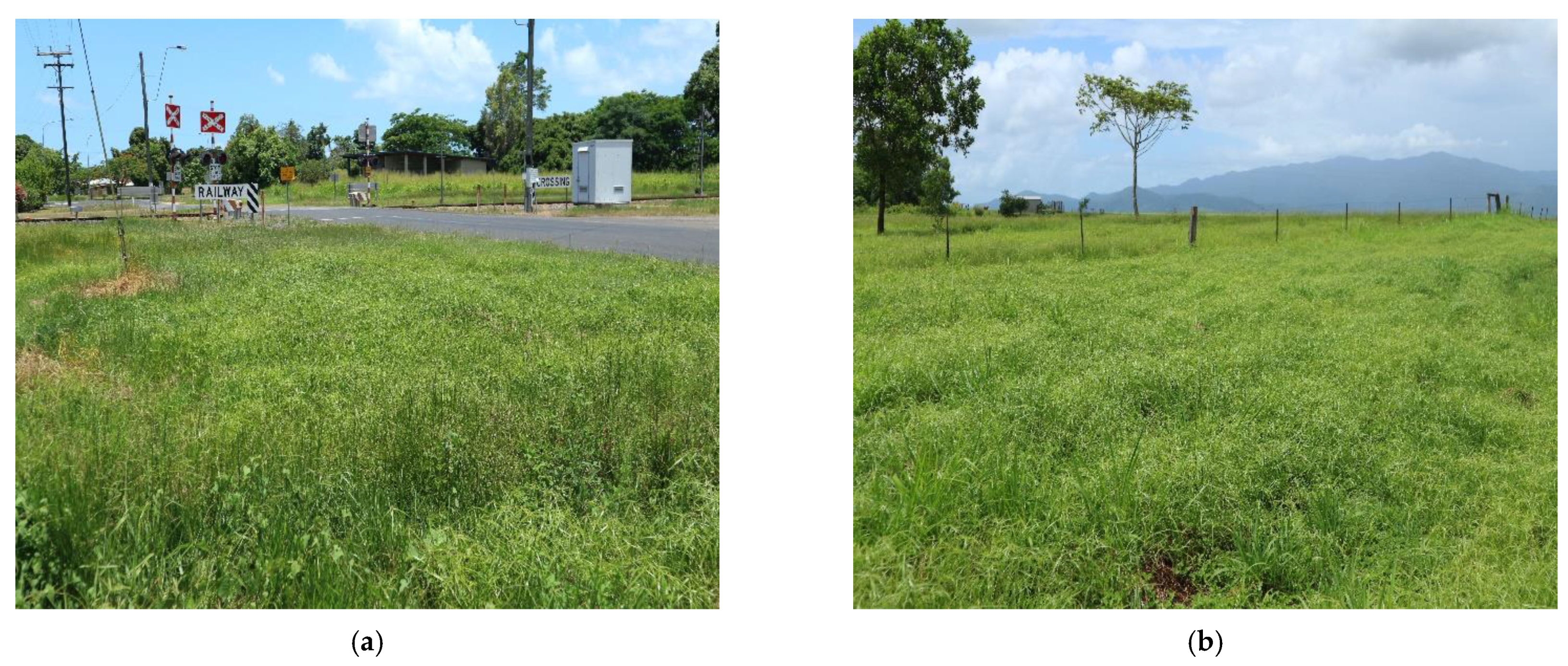 Plants 10 01851 g002a 550