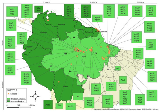 137 perguntas de conhecimentos gerais com respostas - Dicionário