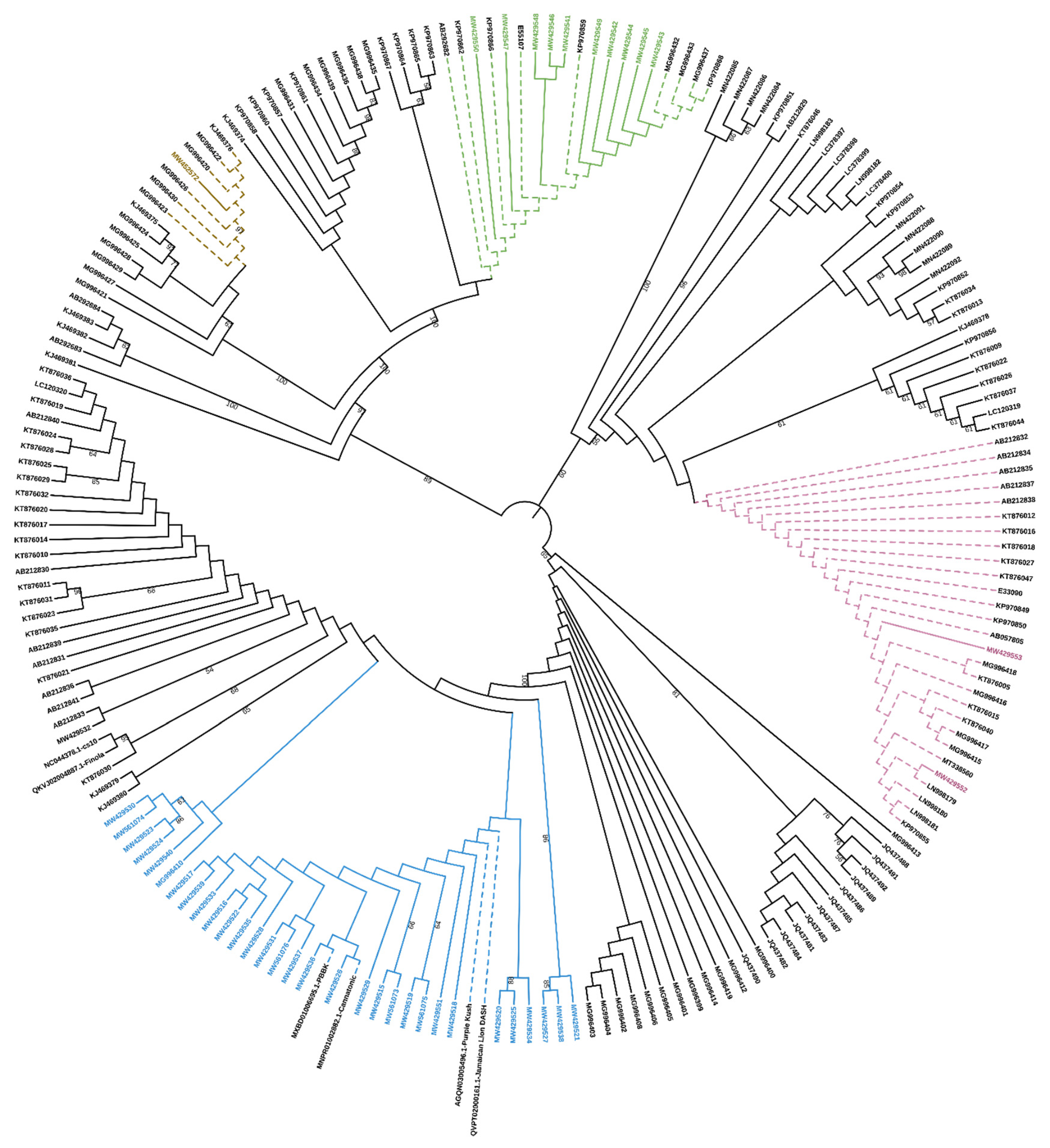 Plants 10 01857 g001 550