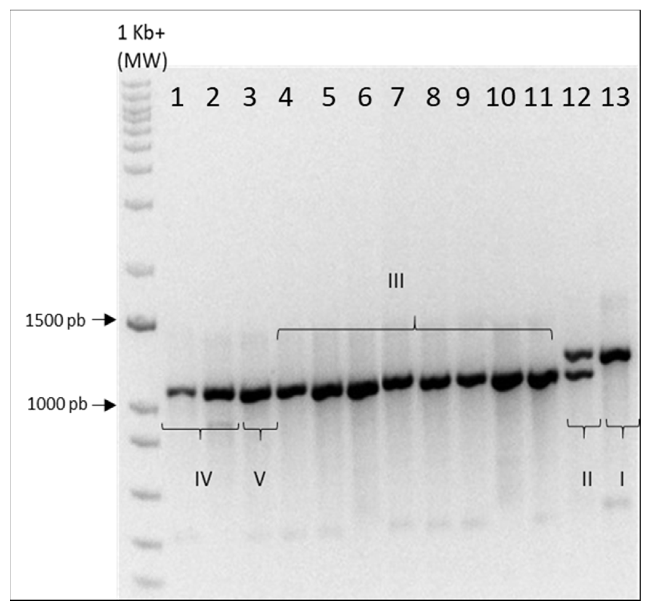 Plants 10 01857 g0a1 550