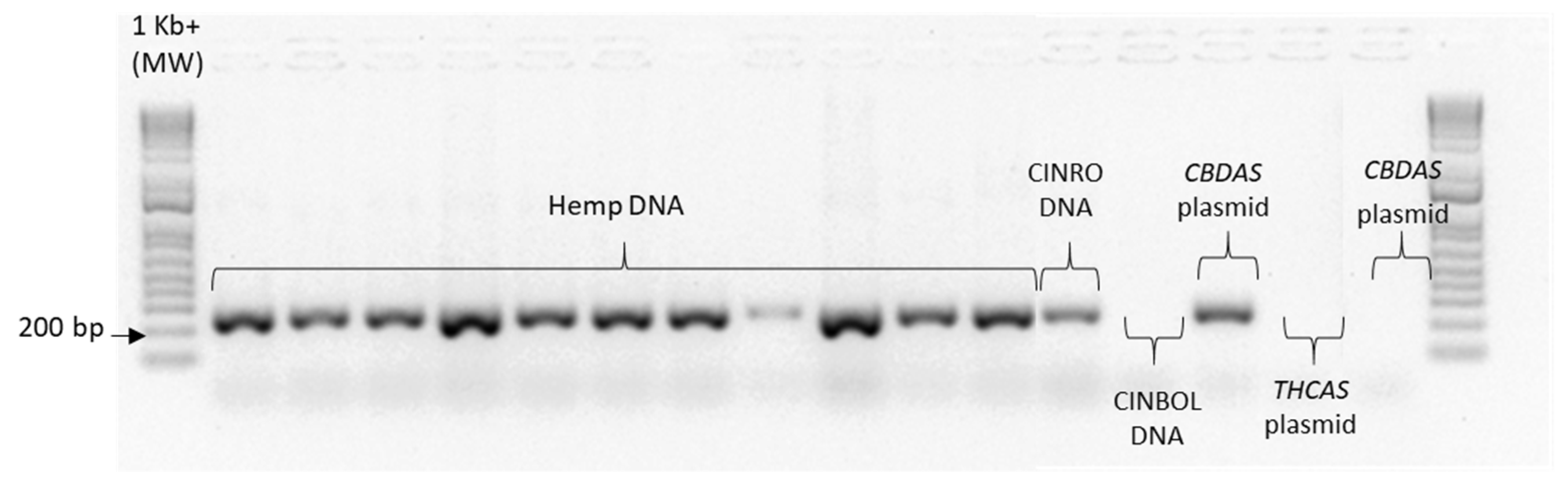 Plants 10 01857 g0a4 550