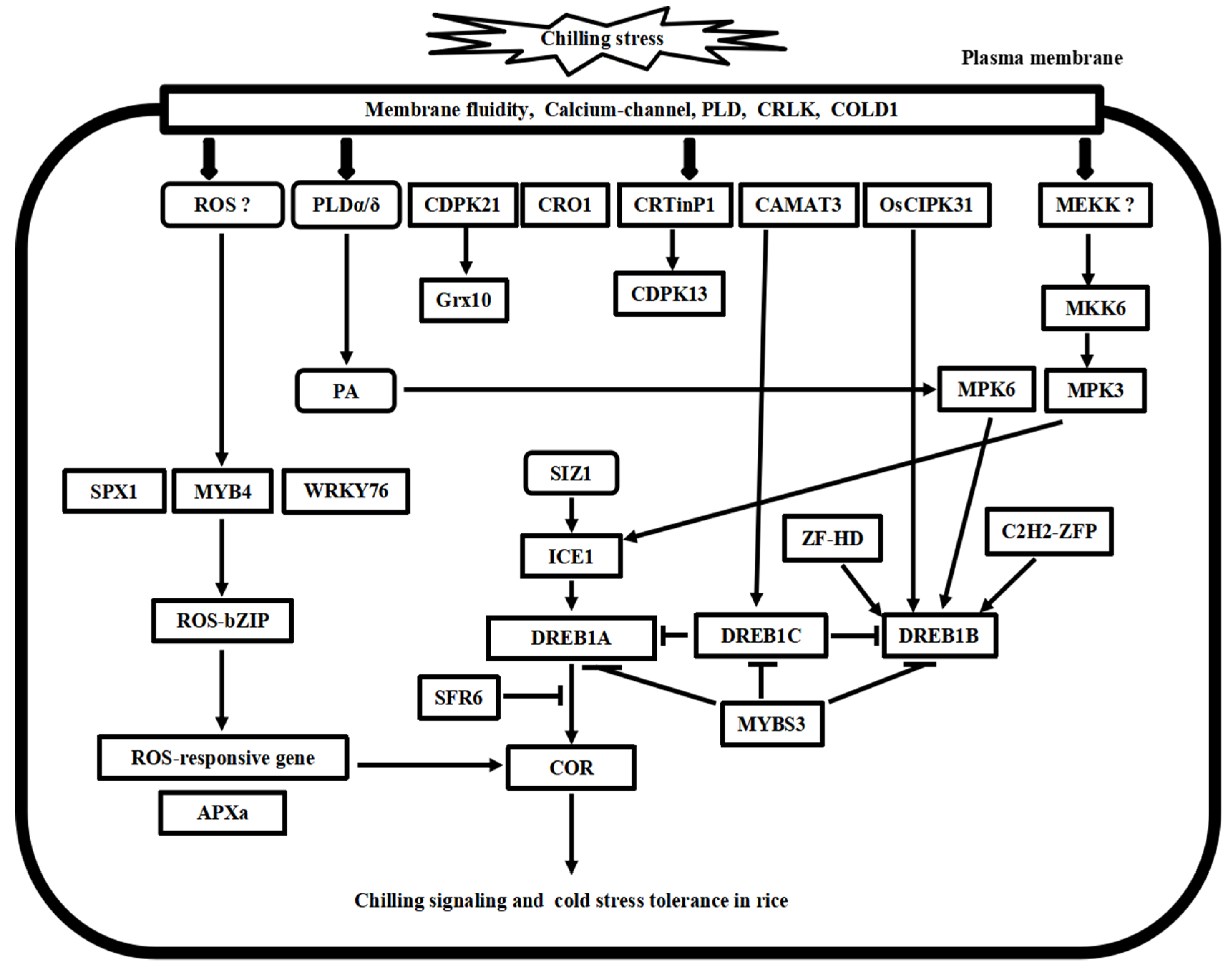 Plants 10 01864 g003 550