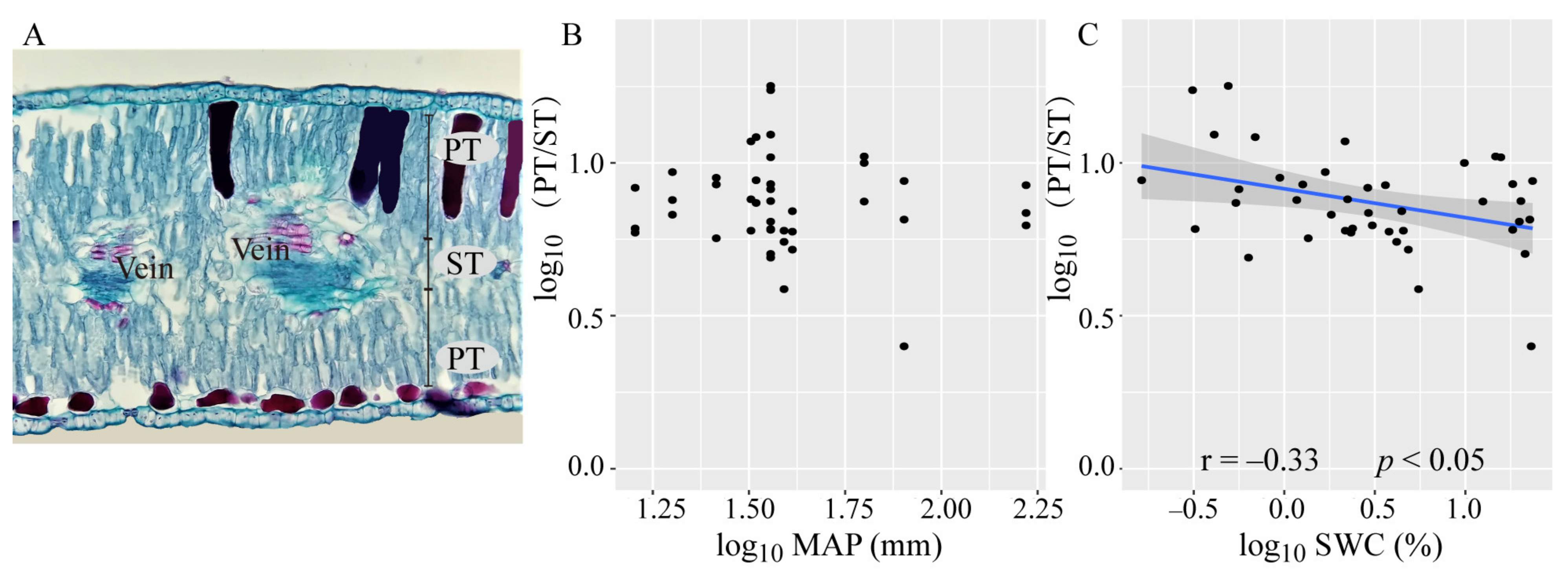 Plants 10 01867 g005