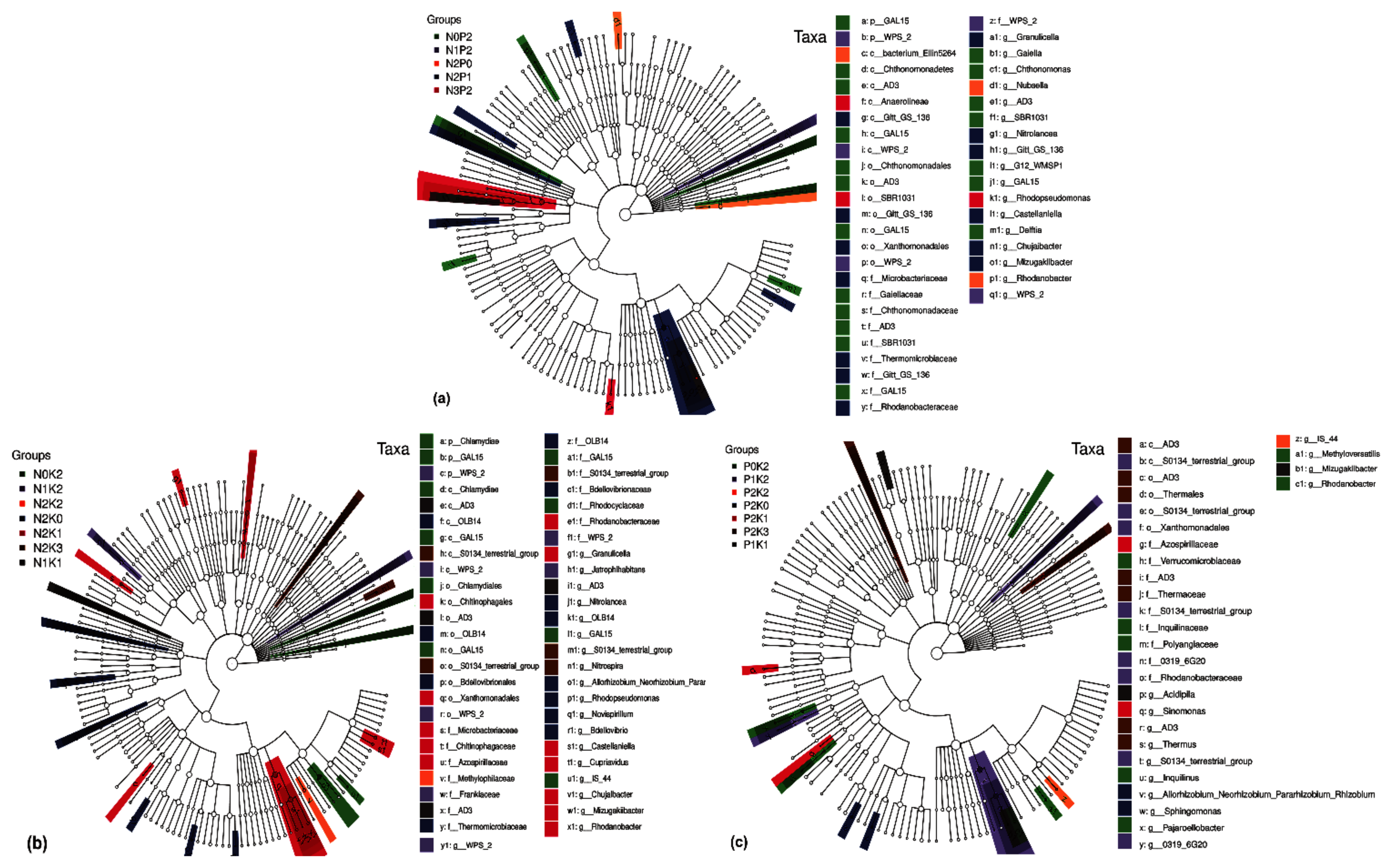 Plants Free Full Text Soil Bacteria To Regulate Phoebe Bournei Seedling Growth And Sustainable Soil Utilization Under Npk Fertilization Html