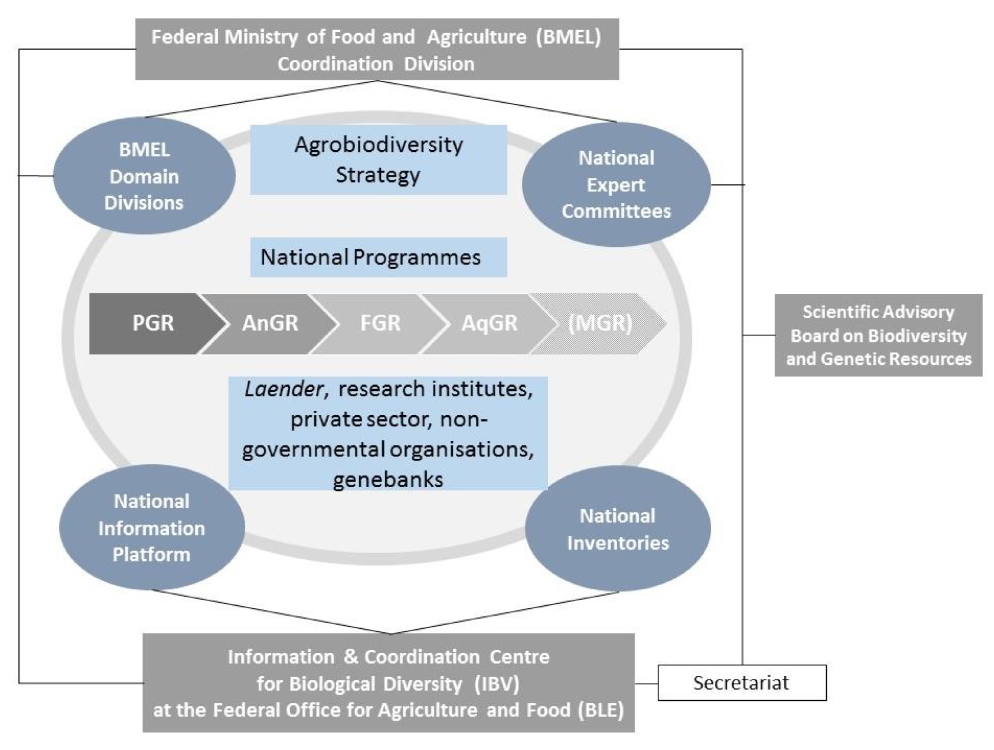 Plants 10 01869 g001 550