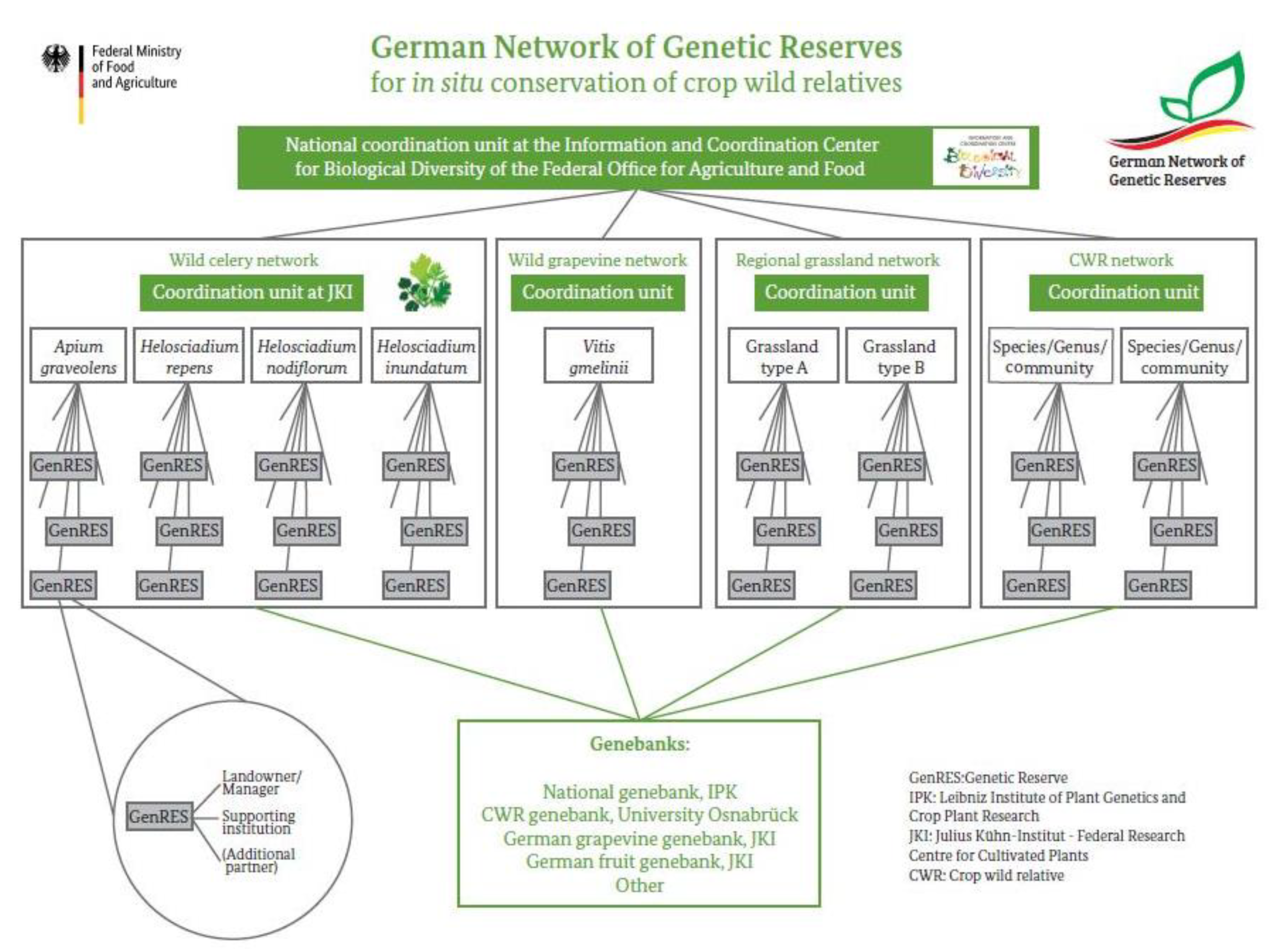 Plants 10 01869 g004 550