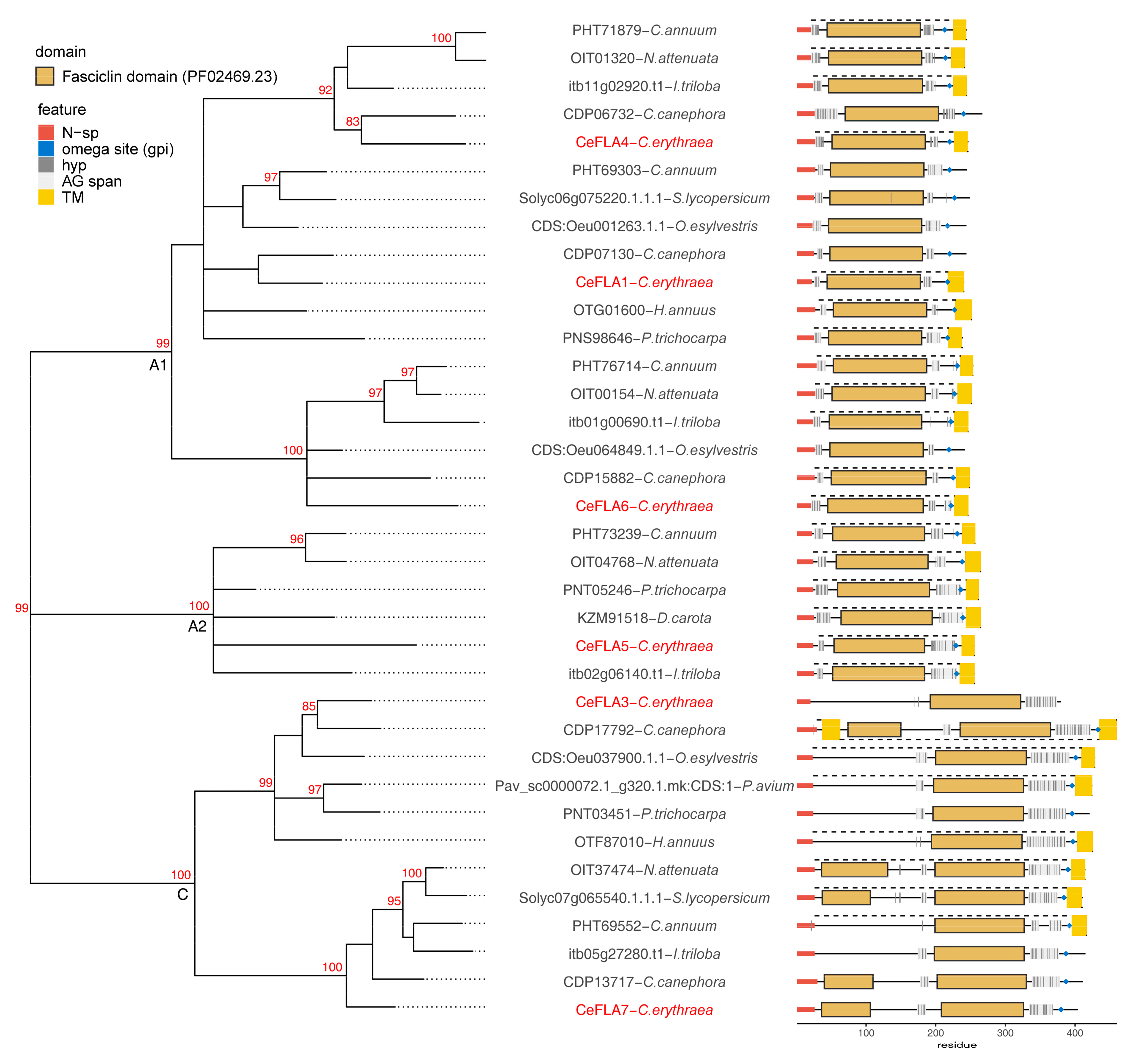 Plants 10 01870 g003