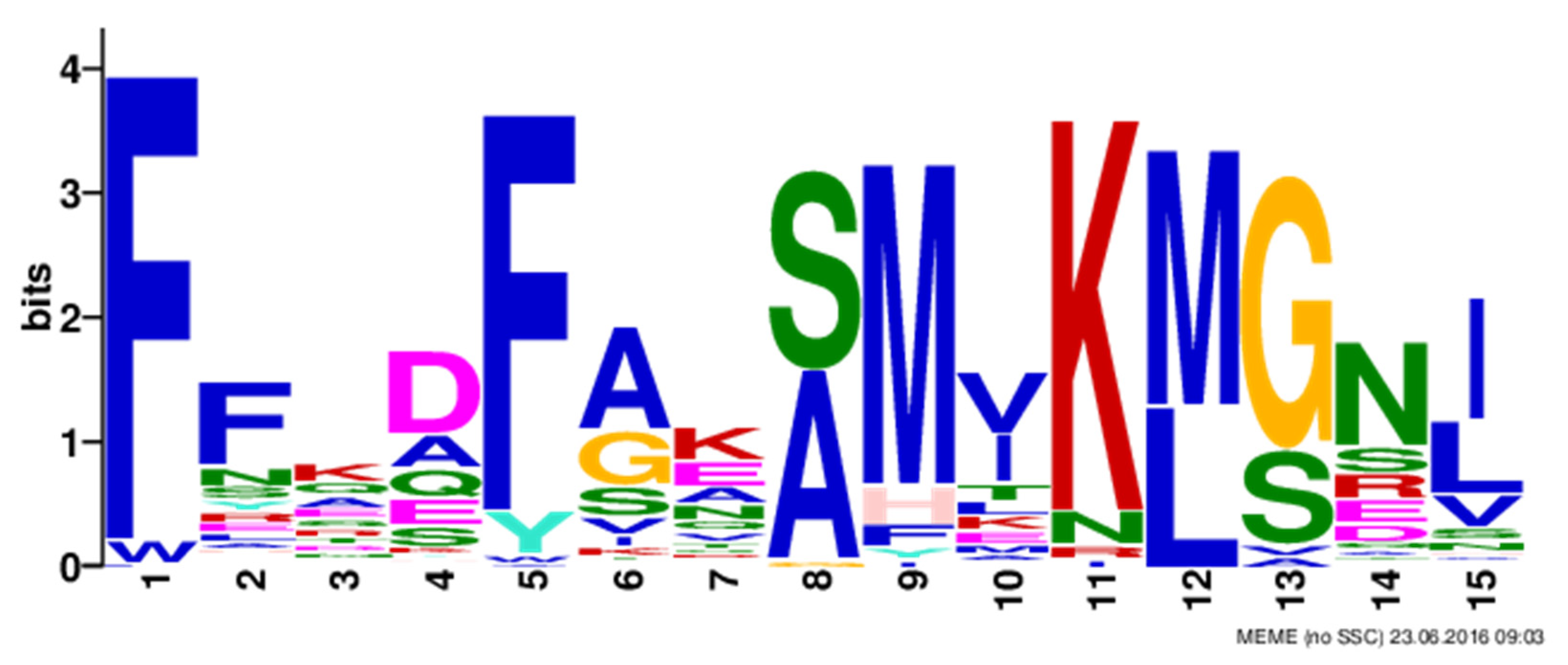 Plants 10 01874 g002