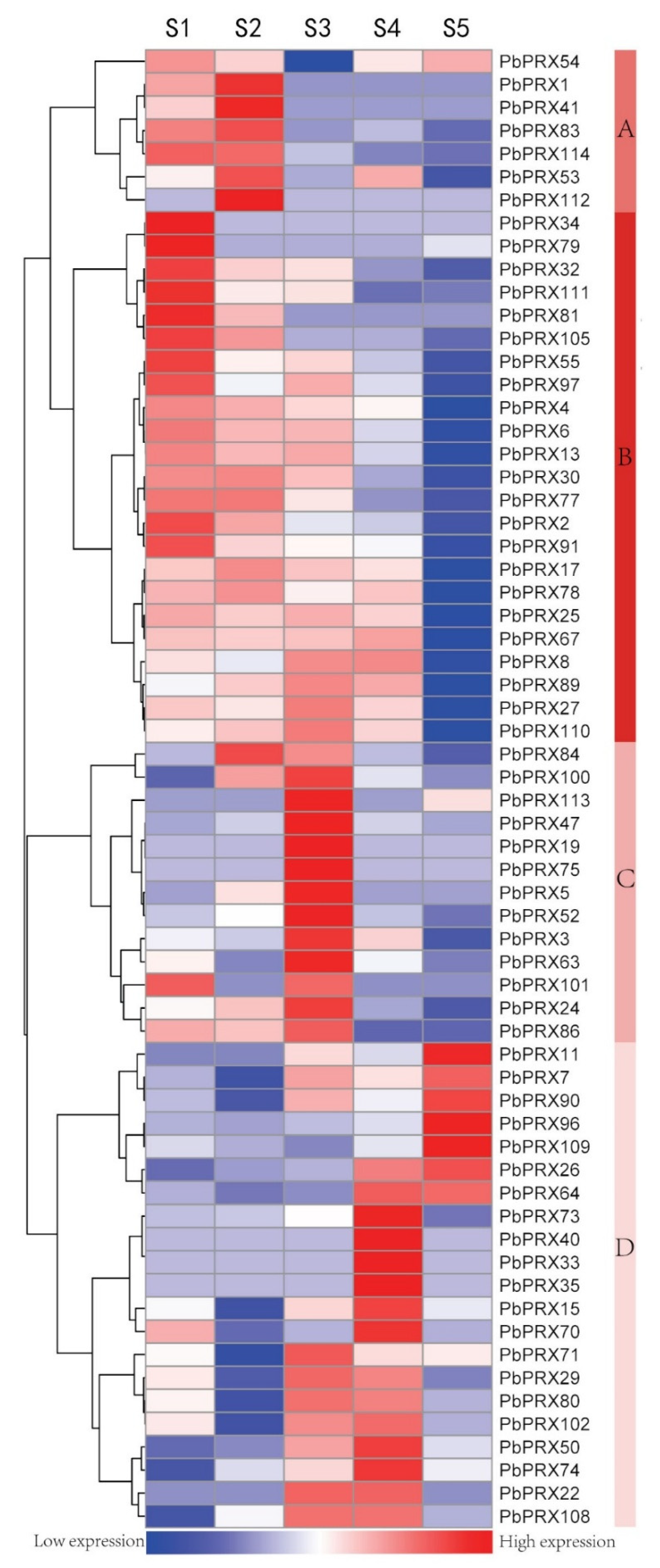 Plants 10 01874 g004