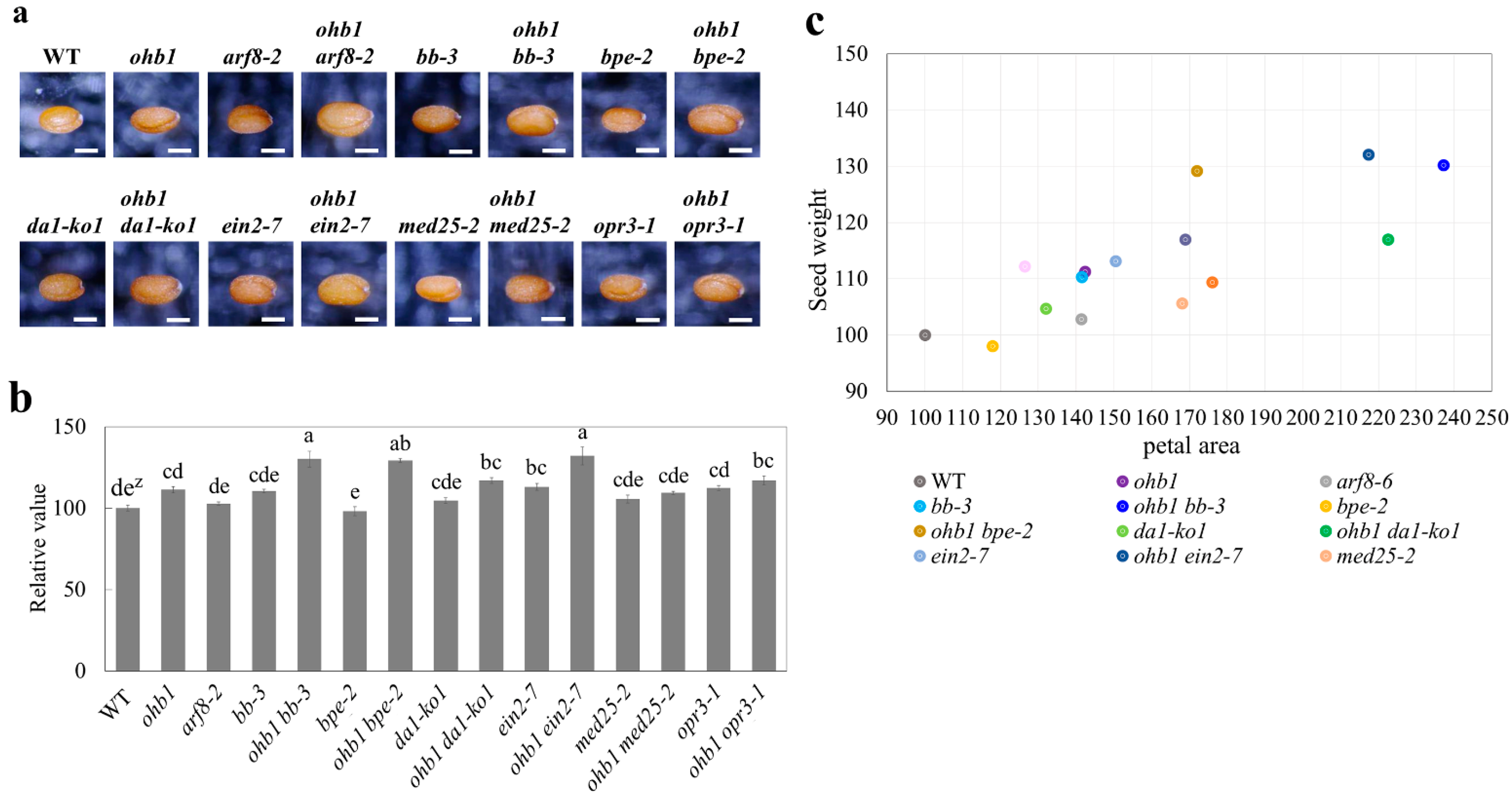 Plants 10 01881 g005 Plants 10 01881 g005