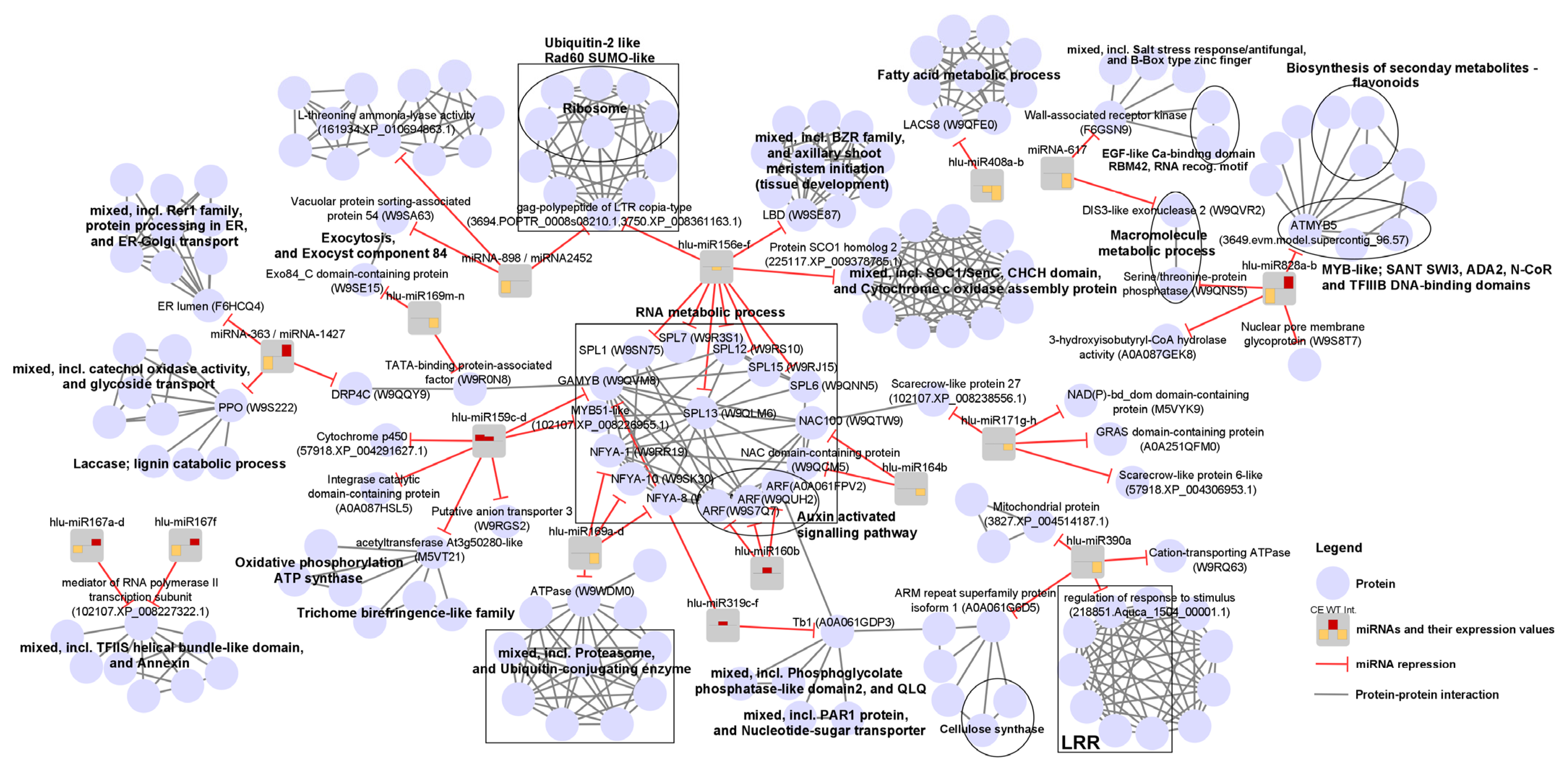 Plants 10 01883 g004 Plants 10 01883 g004