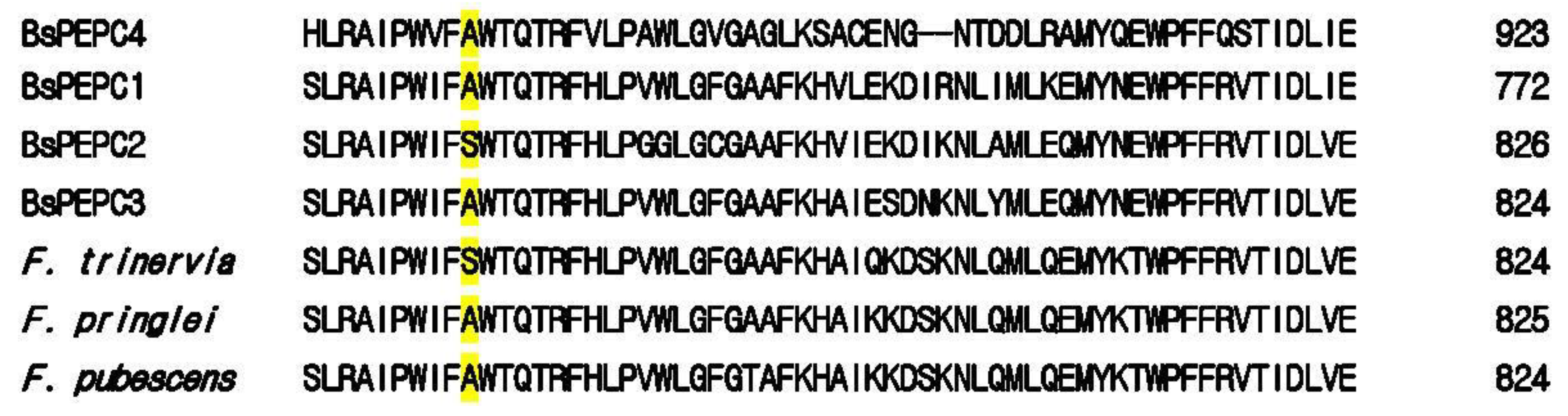 Plants 10 01887 g001 550