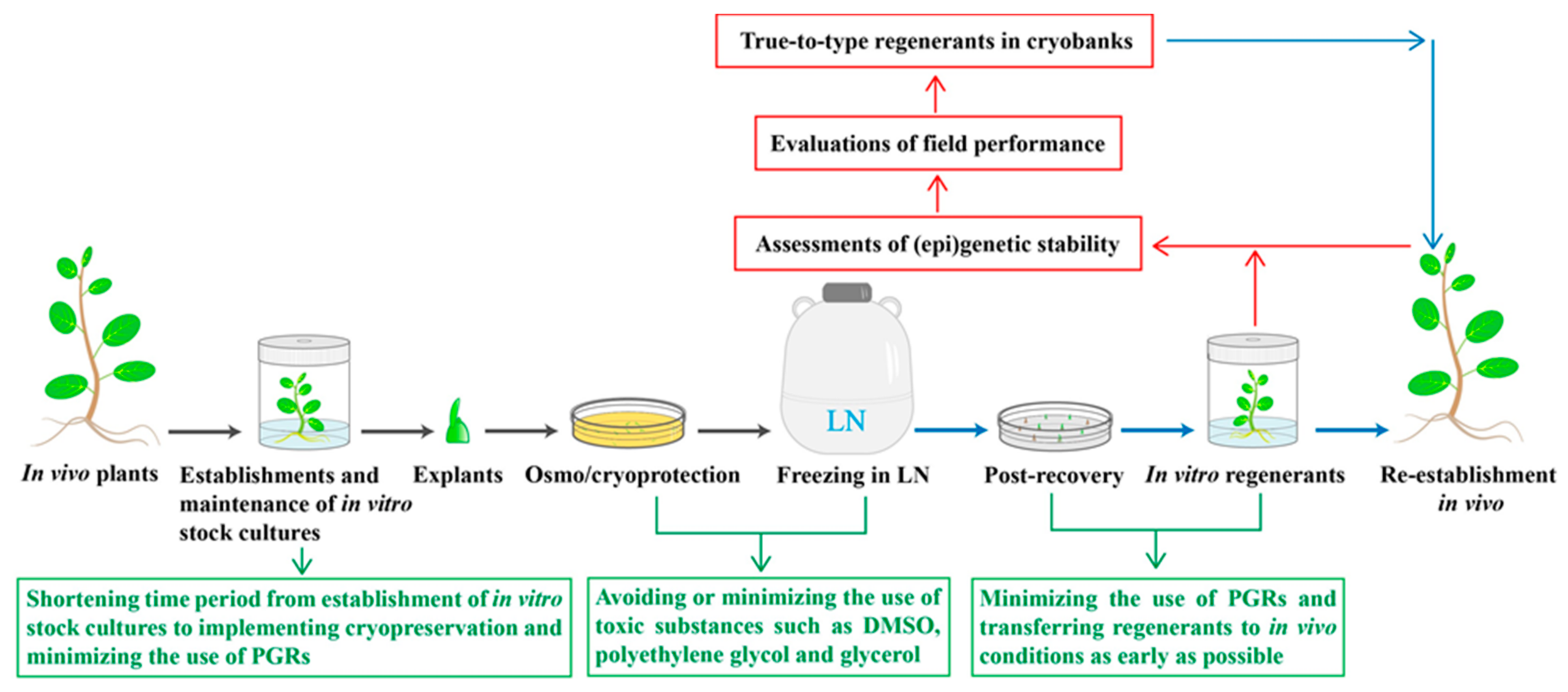 Plants 10 01889 g001
