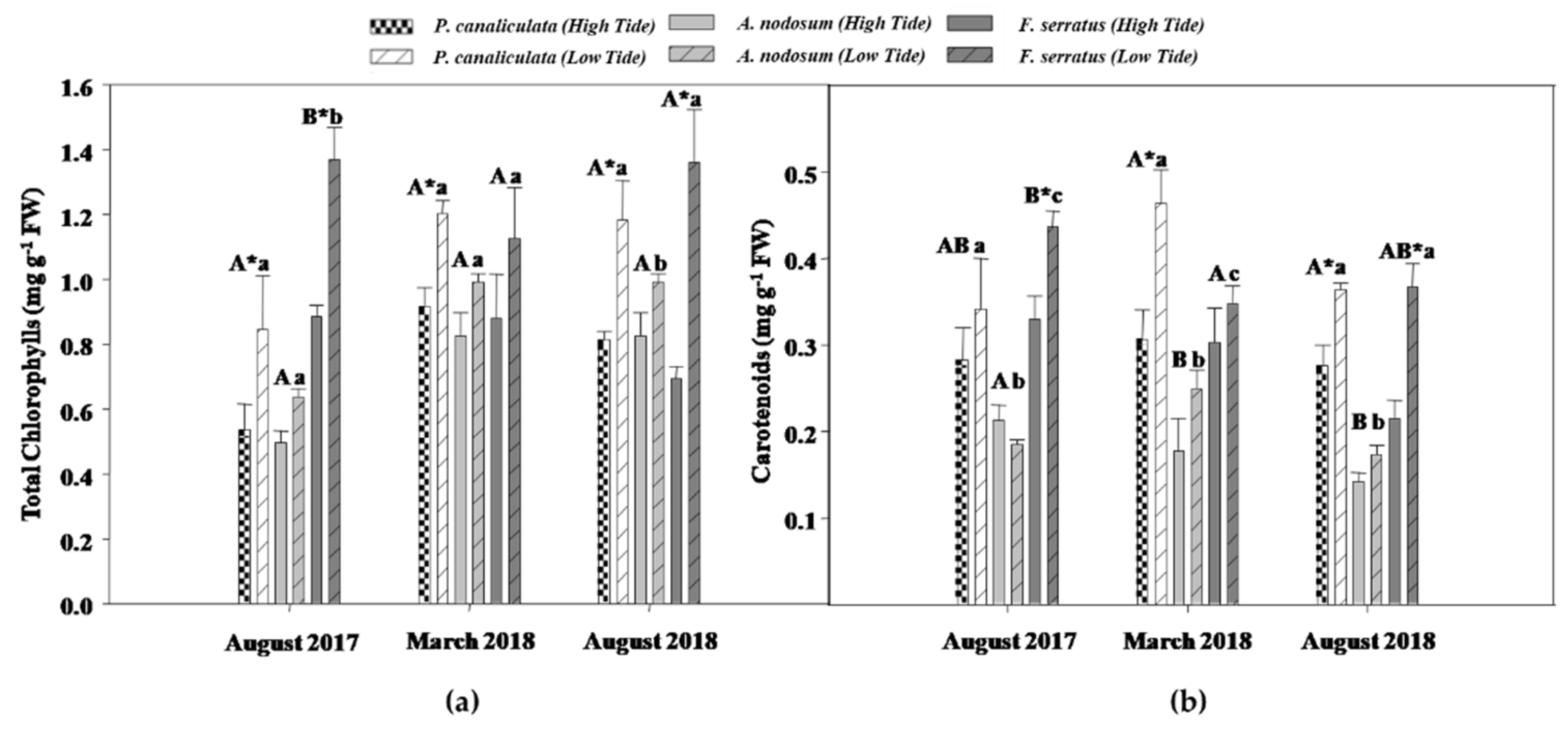 Plants 10 01892 g001