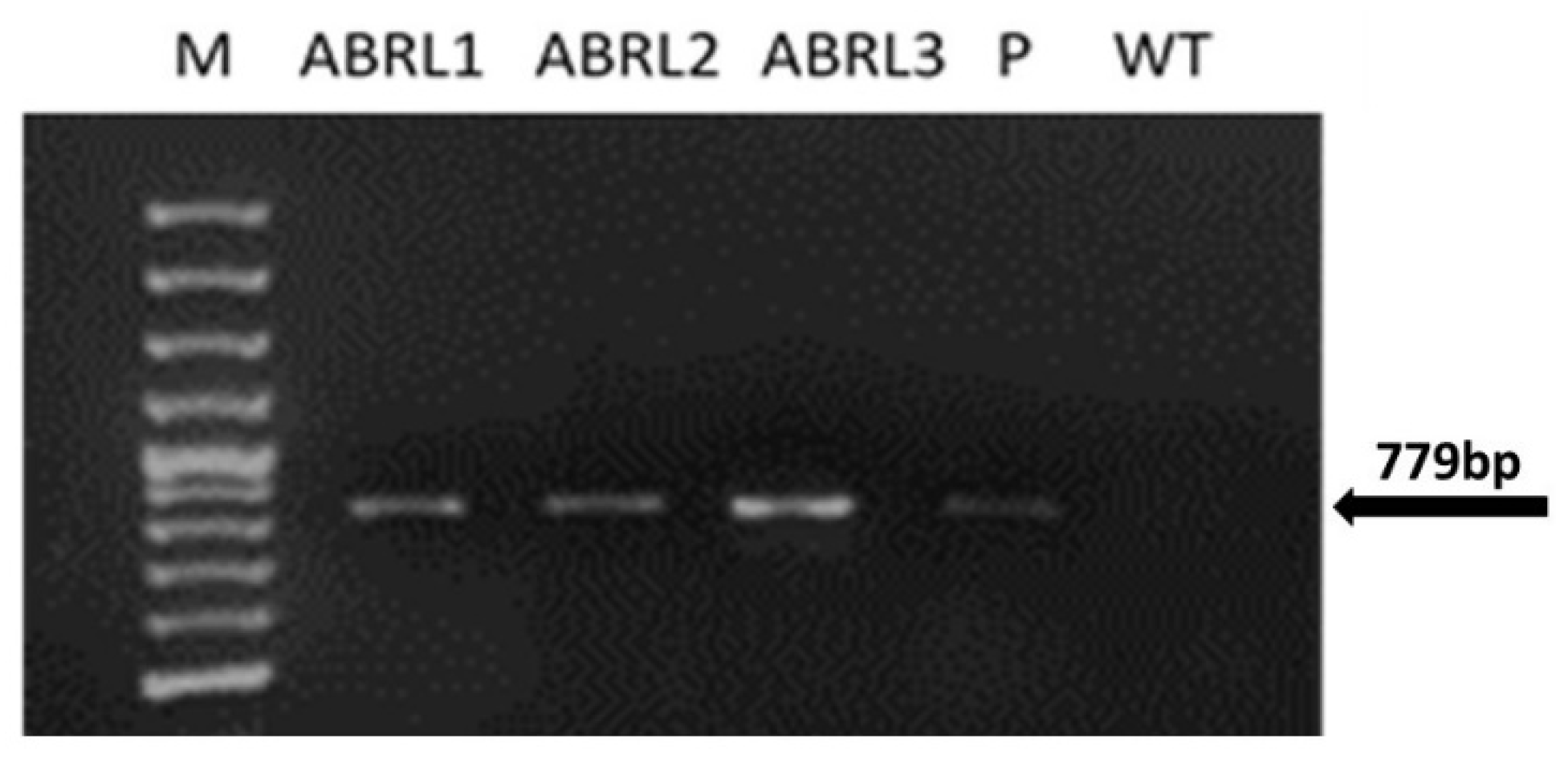 Plants 10 01894 g001 Plants 10 01894 g001
