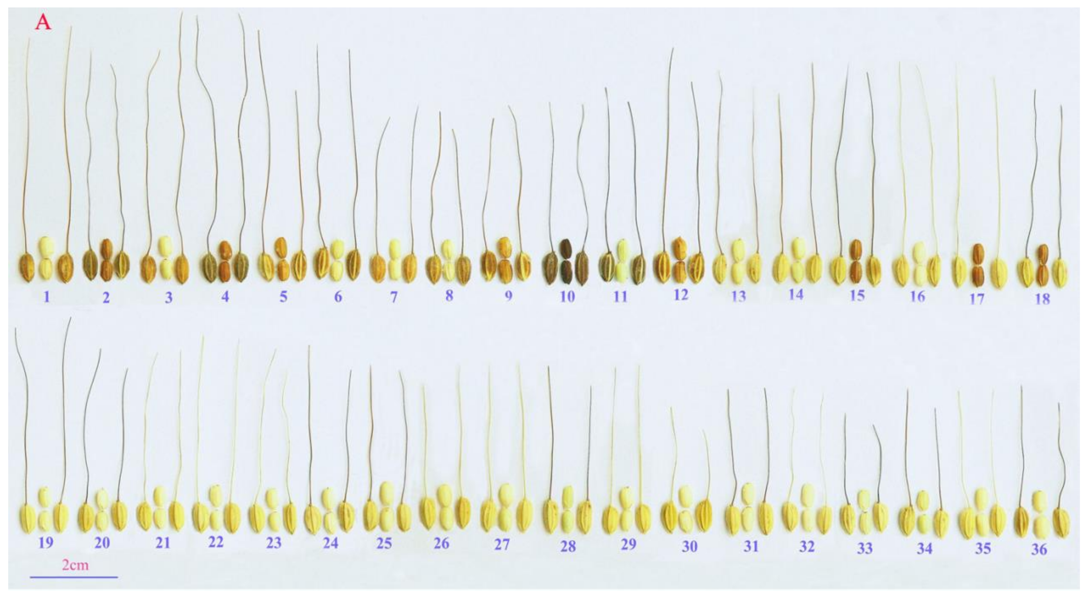 Plants 10 01898 g002a Plants 10 01898 g002a
