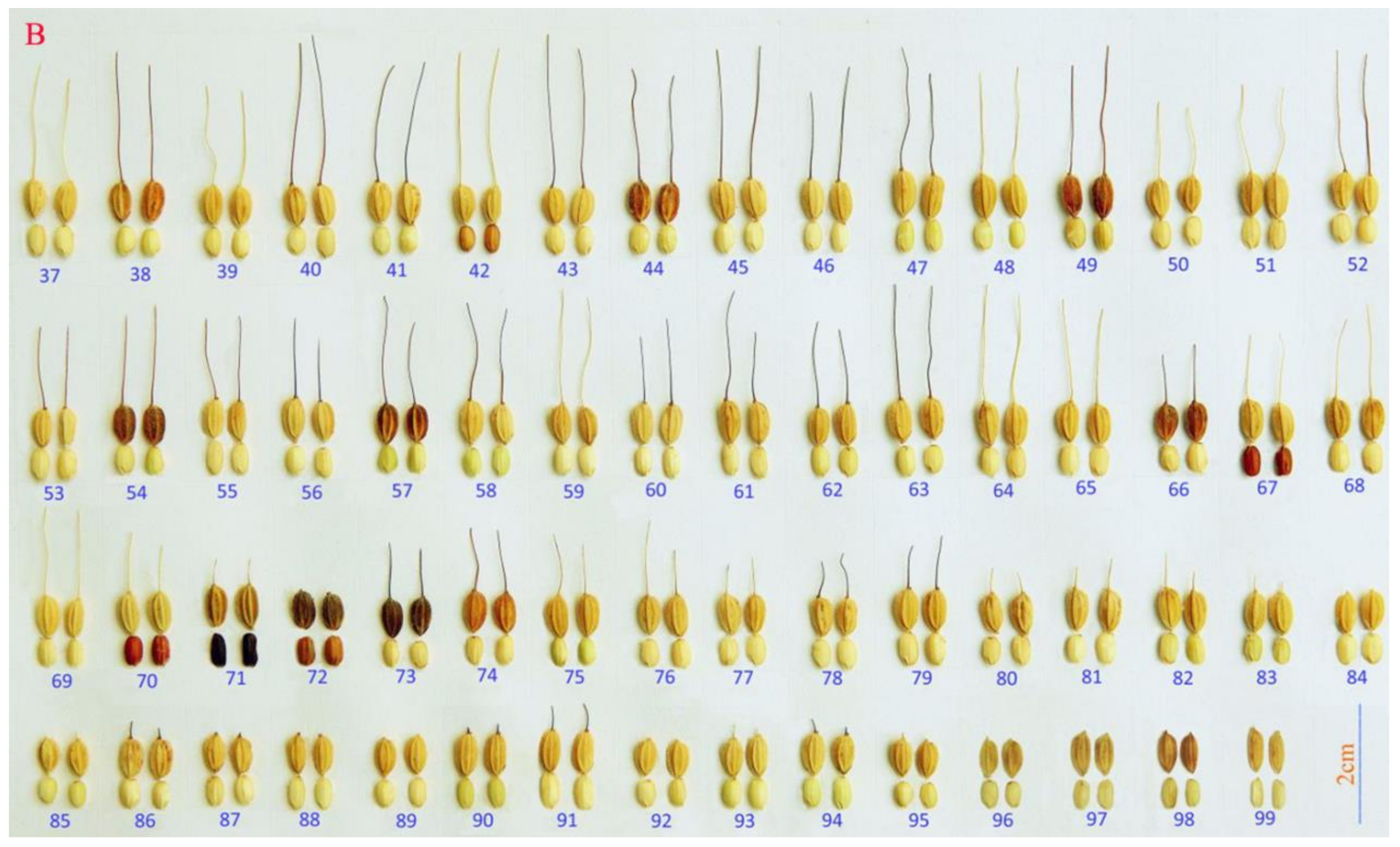 Plants 10 01898 g002b Plants 10 01898 g002b