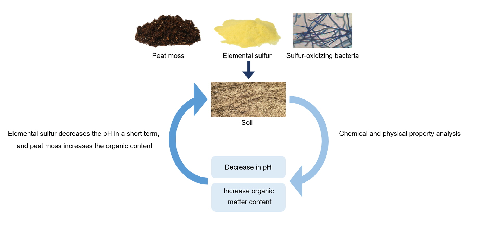 Plants Free FullText Effect on Chemical and Physical Properties of