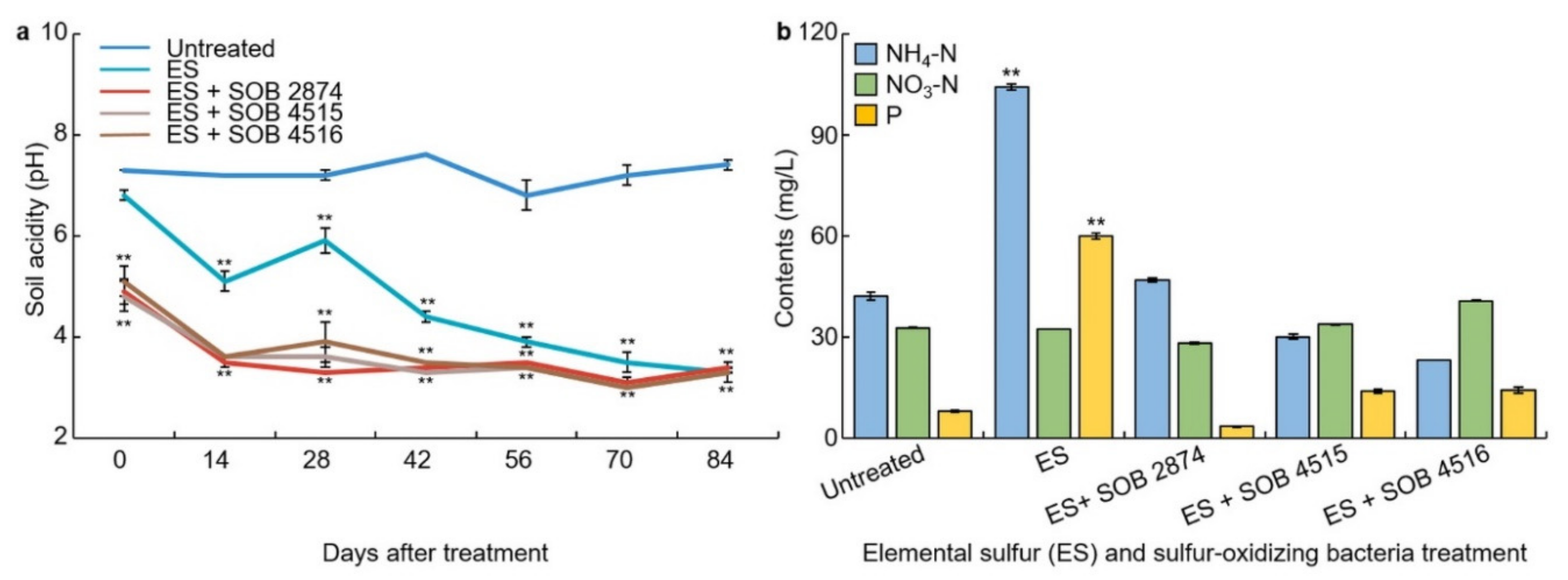 Plants 10 01901 g004