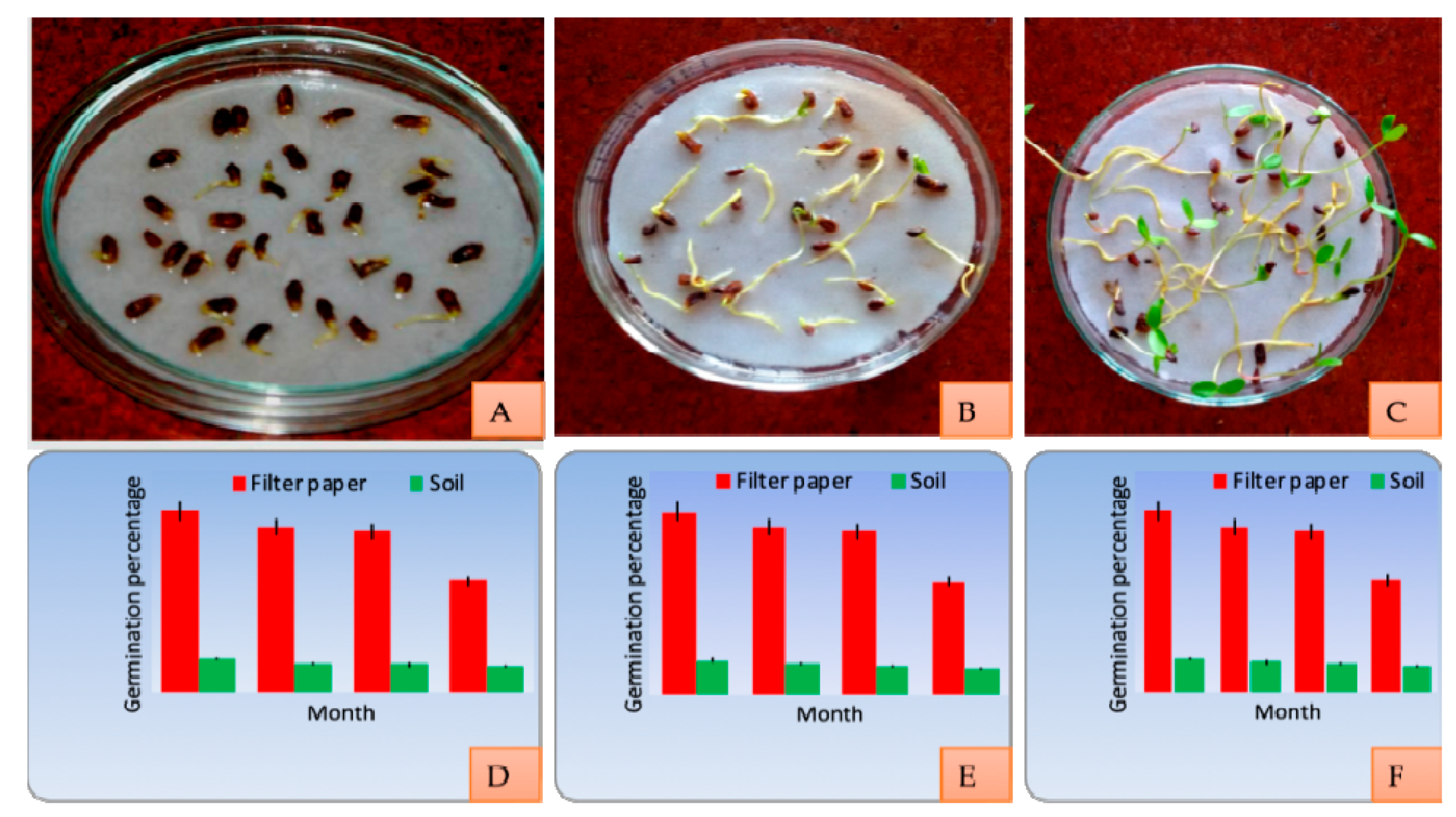 Plants 10 01907 g010