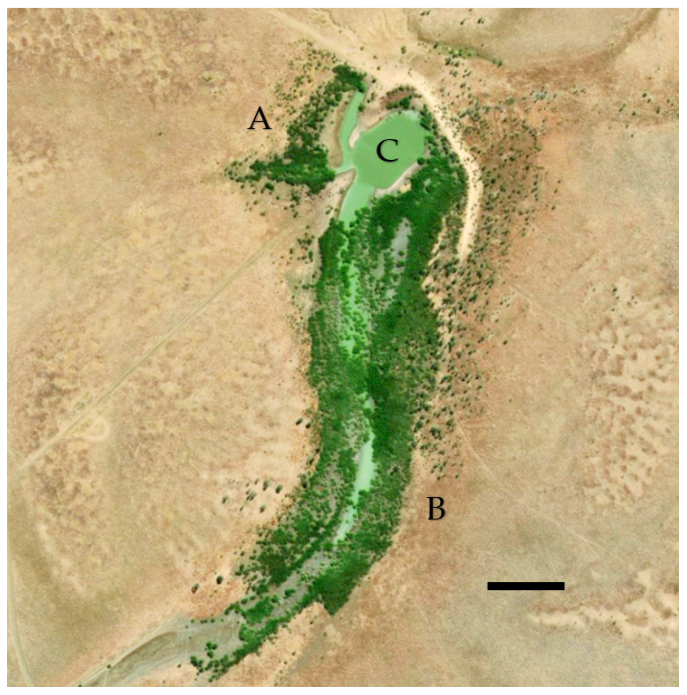 Plants 10 01909 g010 550